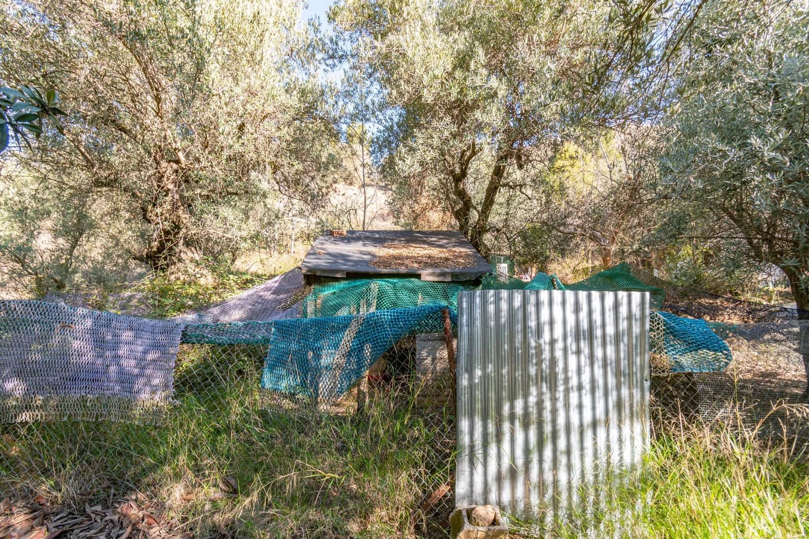 Ubebygd land til salgs i Dilar - € 139 500 (Ref: 8976278)