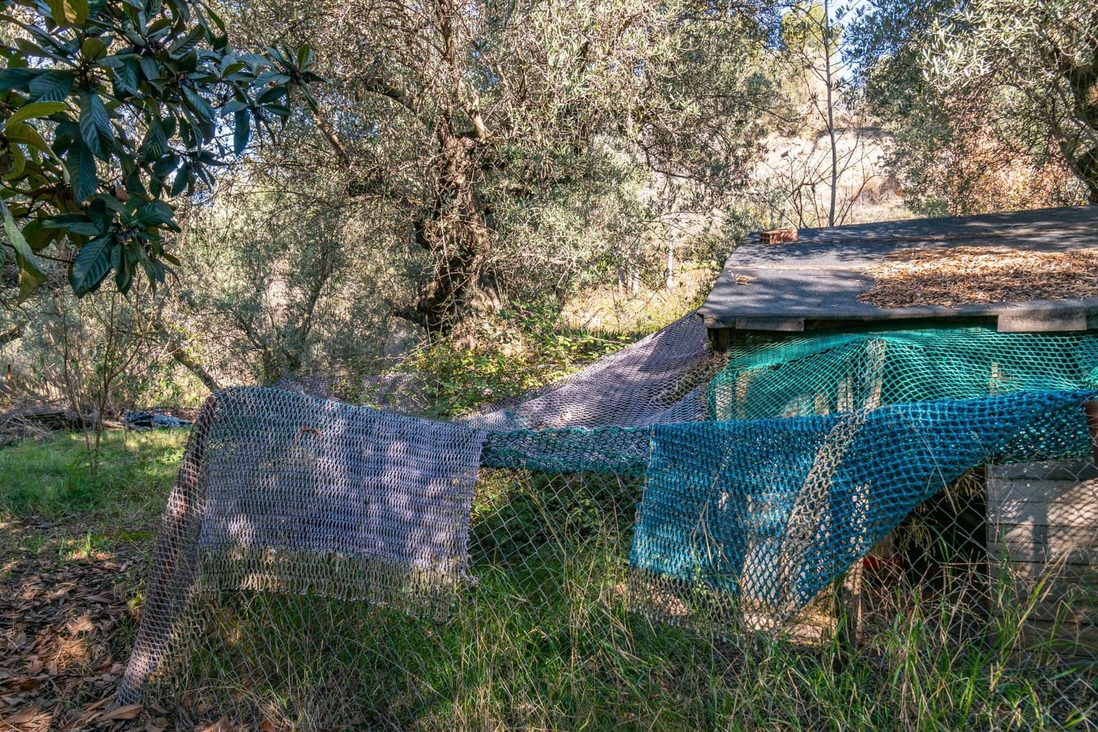 Ubebygd land til salgs i Dilar - € 139 500 (Ref: 8976278)