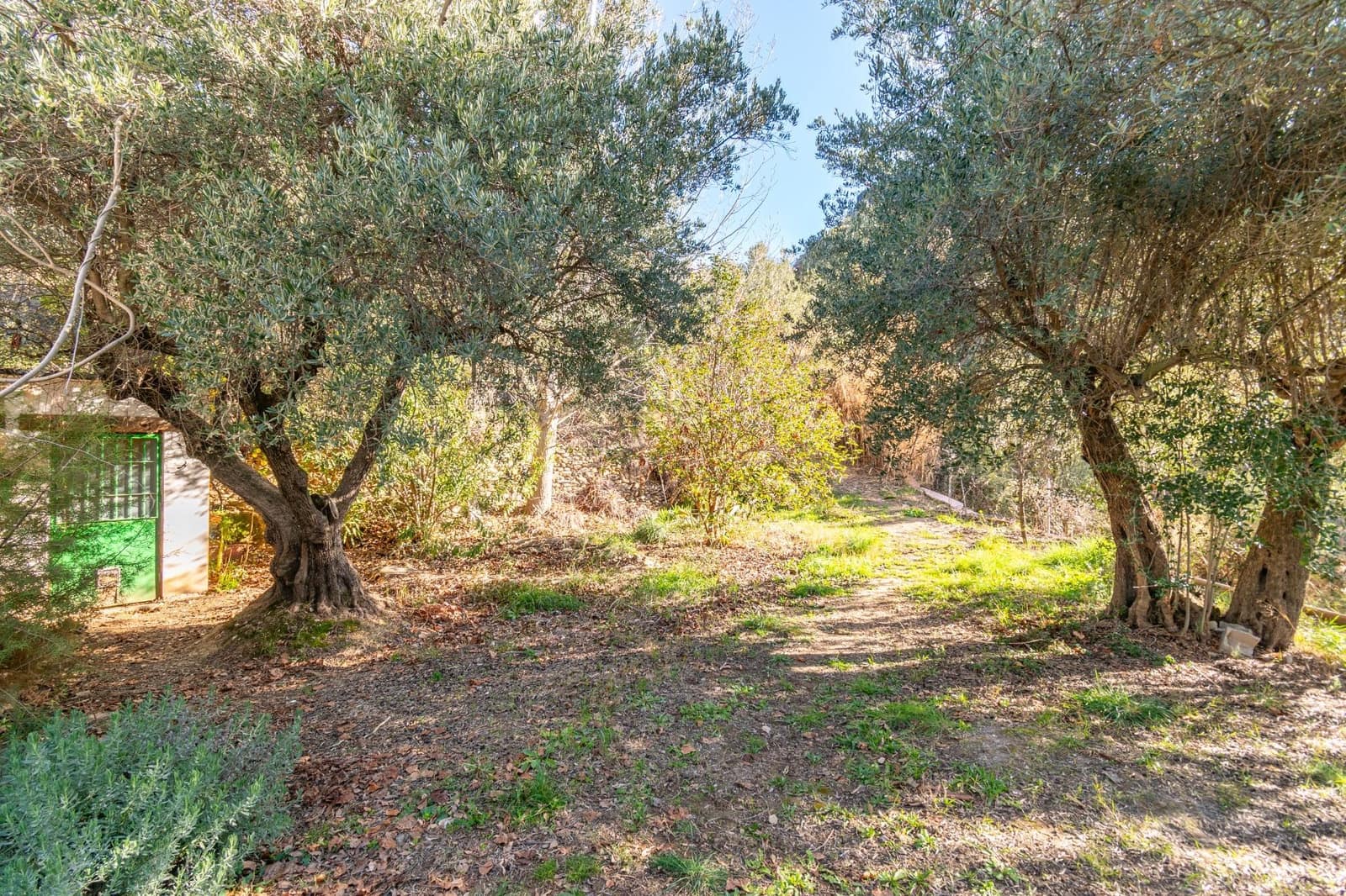 Ubebygd land til salgs i Dilar - € 139 500 (Ref: 8976278)