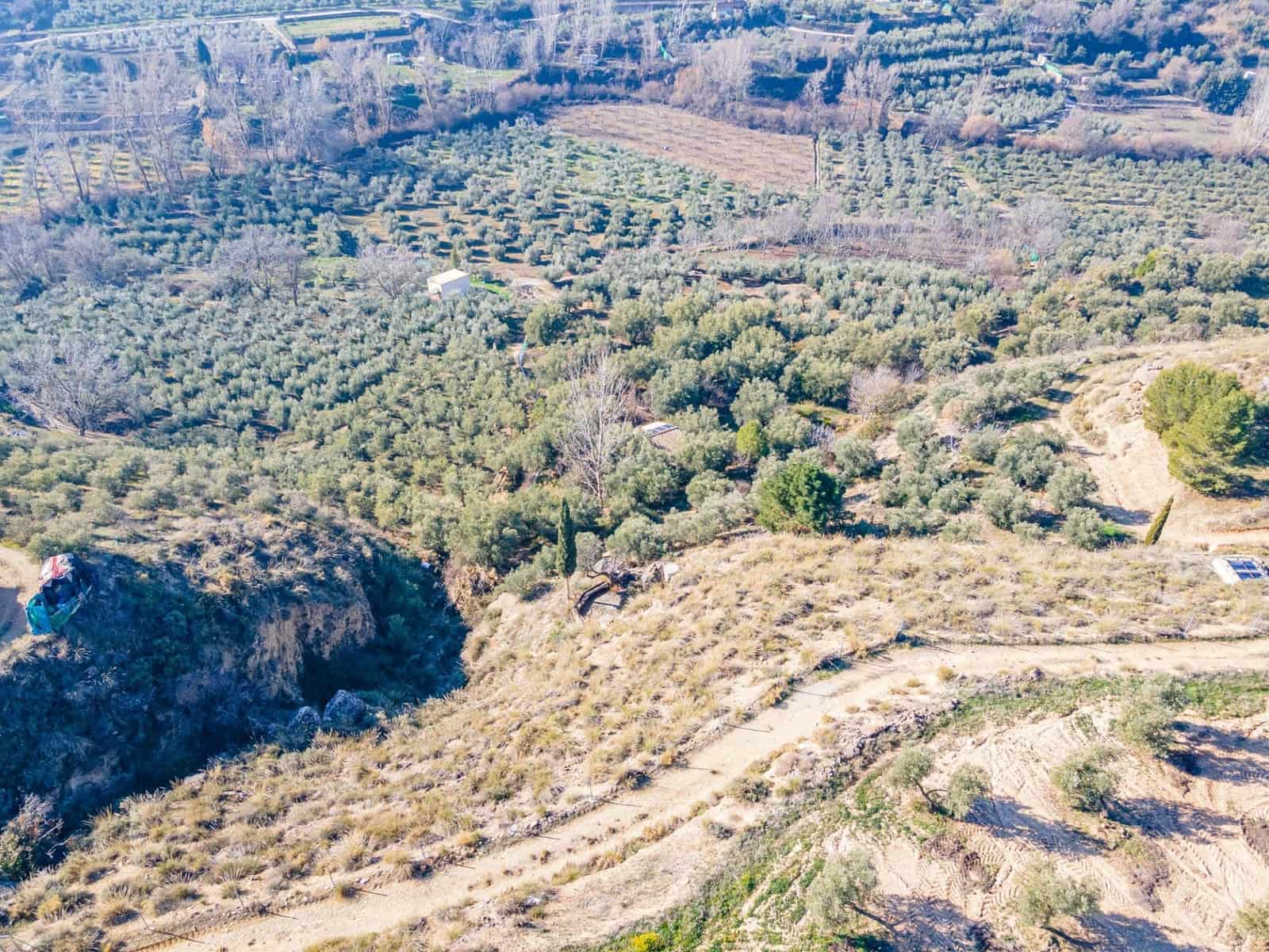 Ubebygd land til salgs i Dilar - € 139 500 (Ref: 8976278)