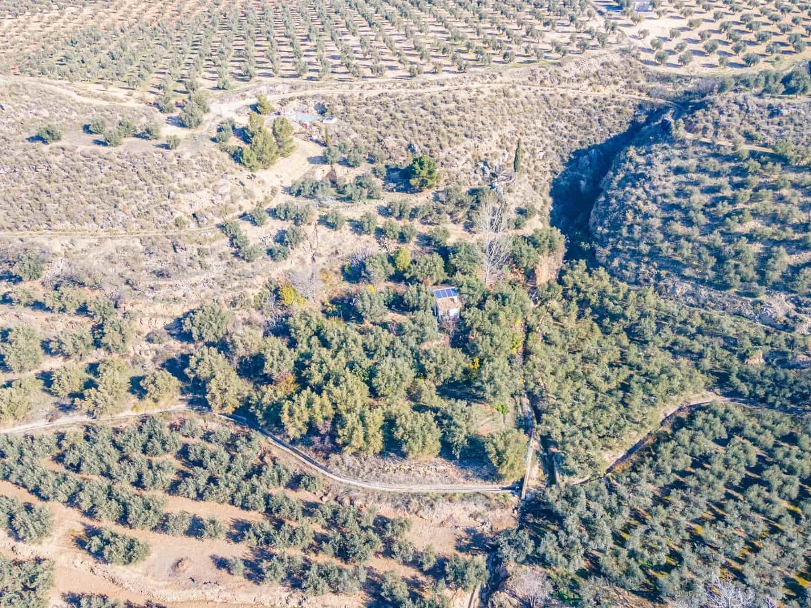 Ubebygd land til salgs i Dilar - € 139 500 (Ref: 8976278)