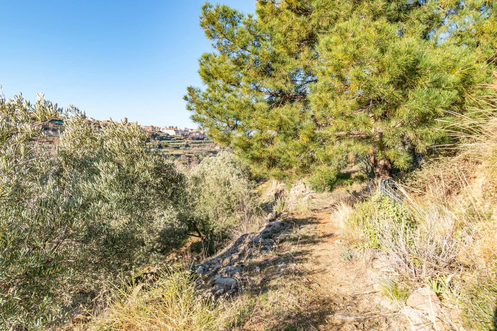 Ubebygd land til salgs i Dilar - € 139 500 (Ref: 8976278)