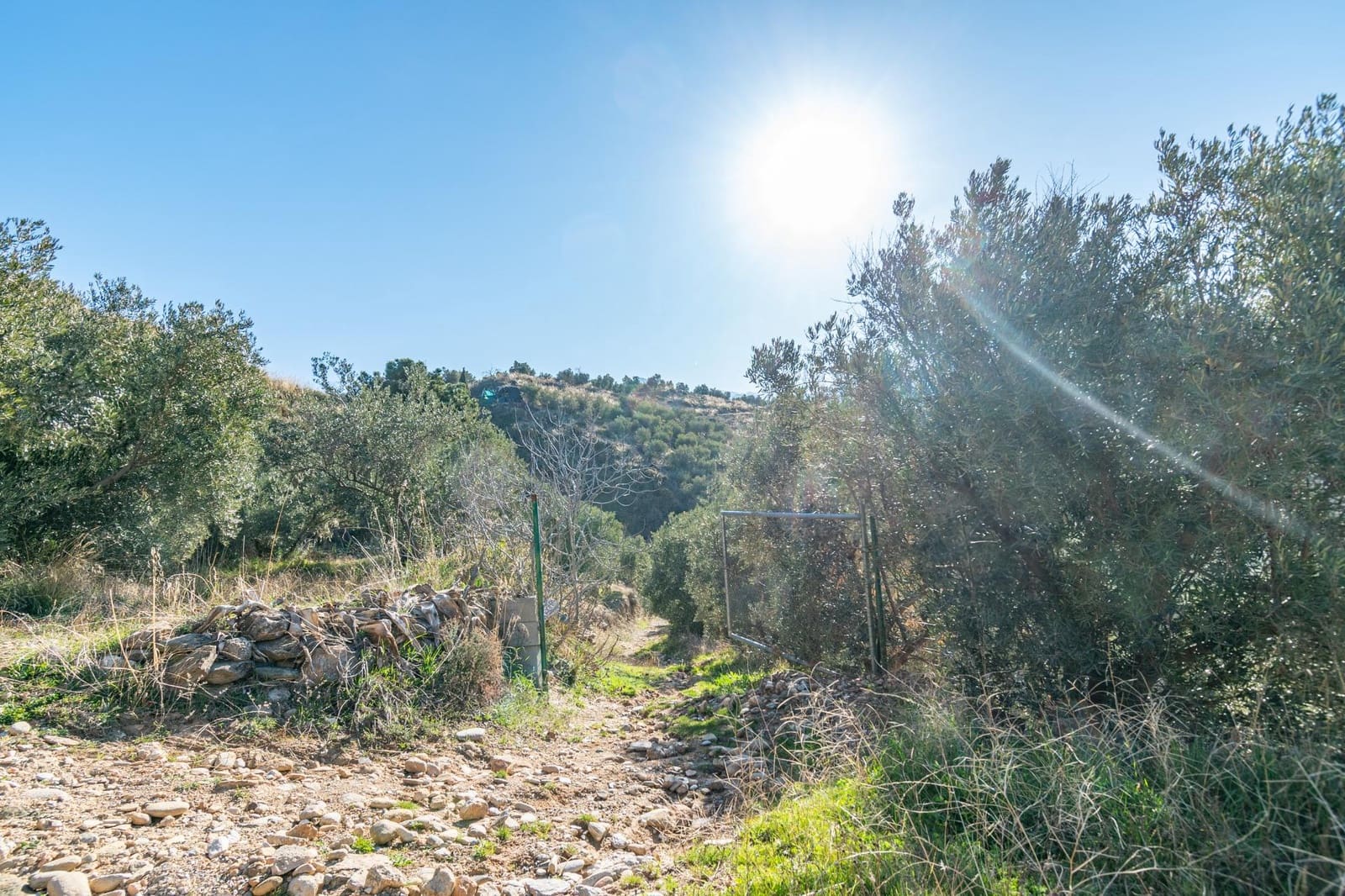 Ubebygd land til salgs i Dilar - € 139 500 (Ref: 8976278)