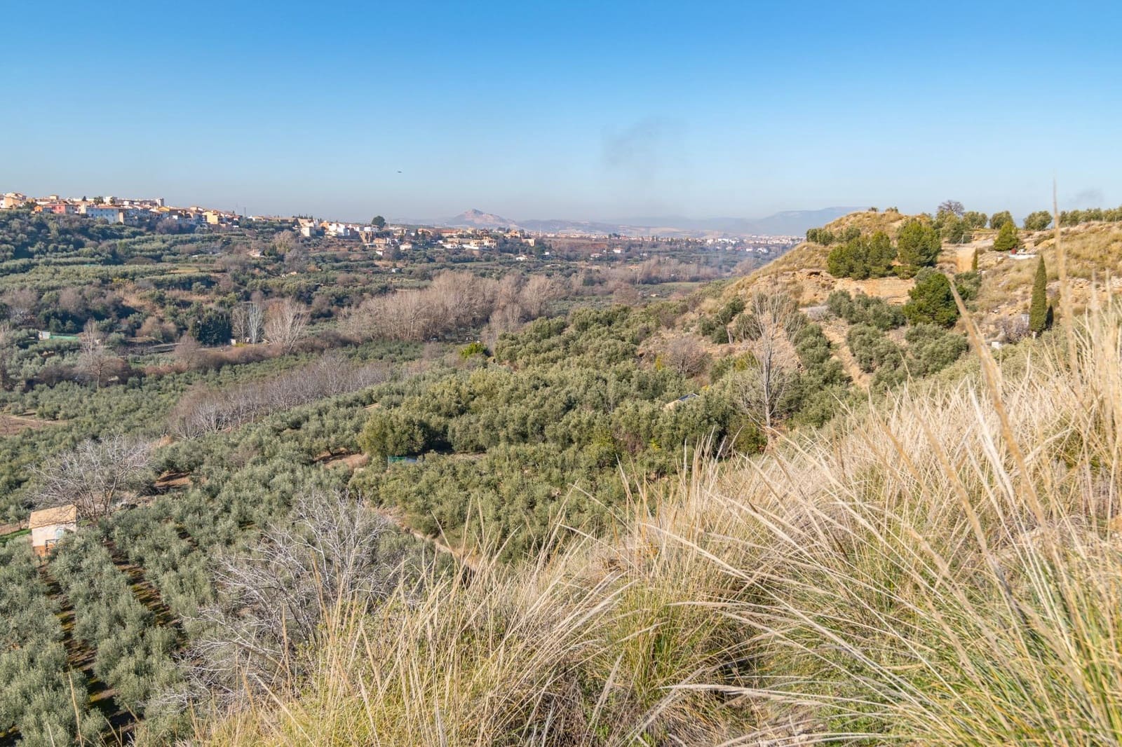 Ubebygd land til salgs i Dilar - € 139 500 (Ref: 8976278)