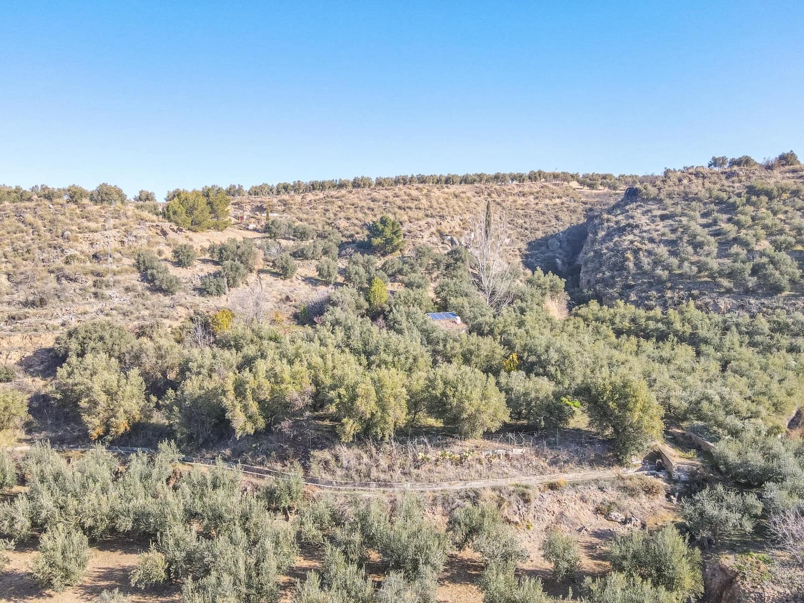 Ubebygd land til salgs i Dilar - € 139 500 (Ref: 8976278)