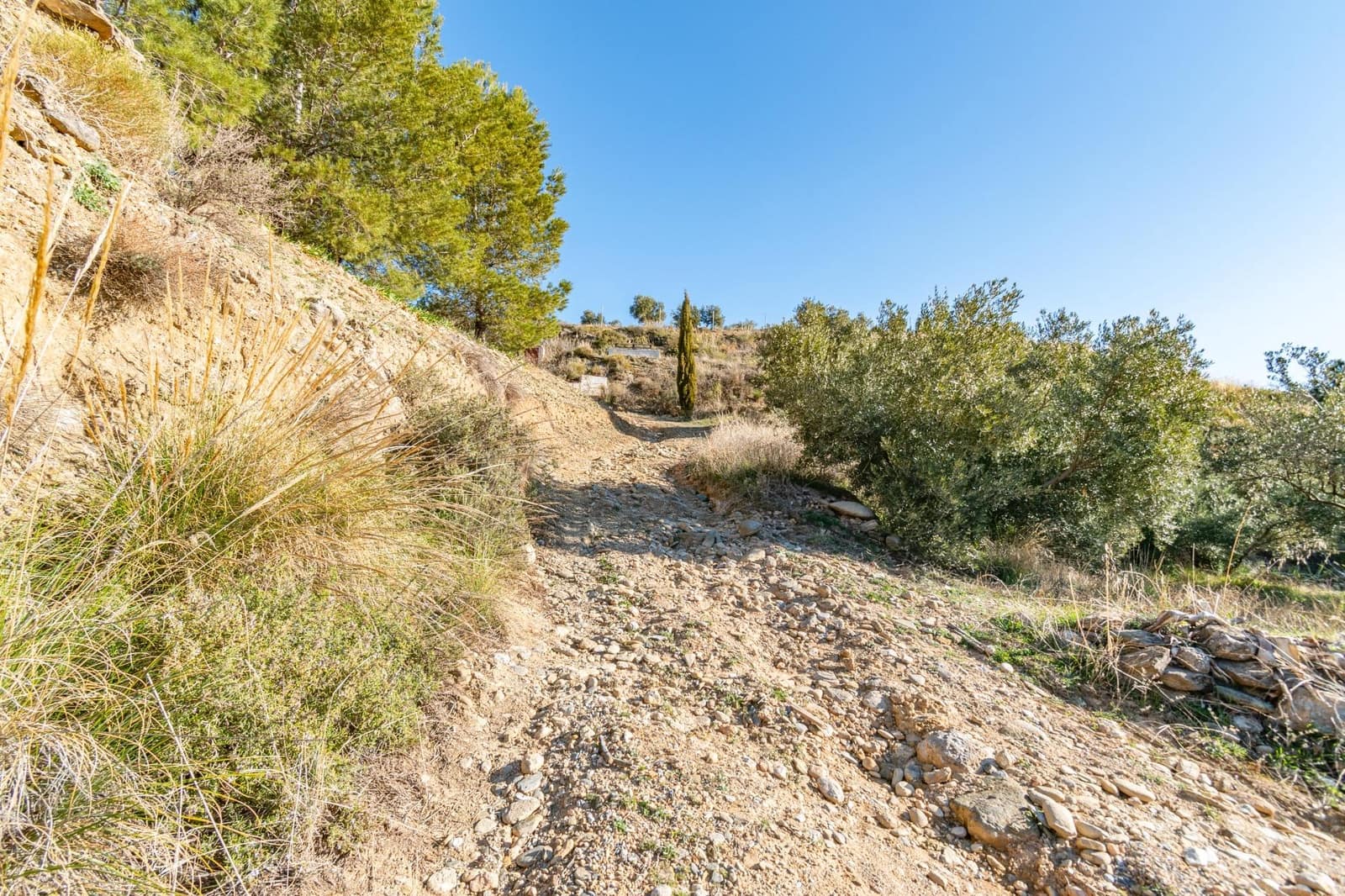 Ubebygd land til salgs i Dilar - € 139 500 (Ref: 8976278)