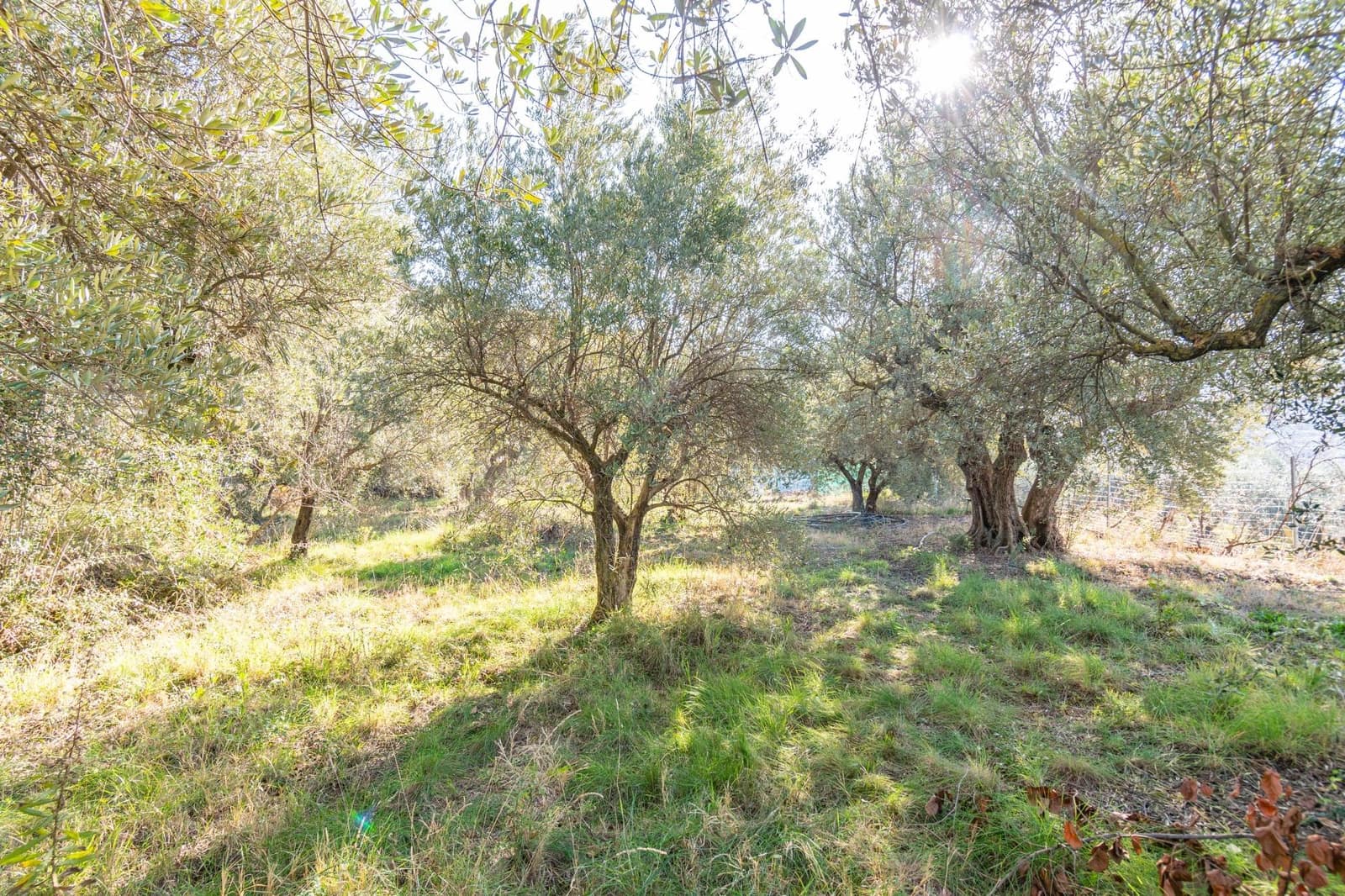 Ubebygd land til salgs i Dilar - € 139 500 (Ref: 8976278)