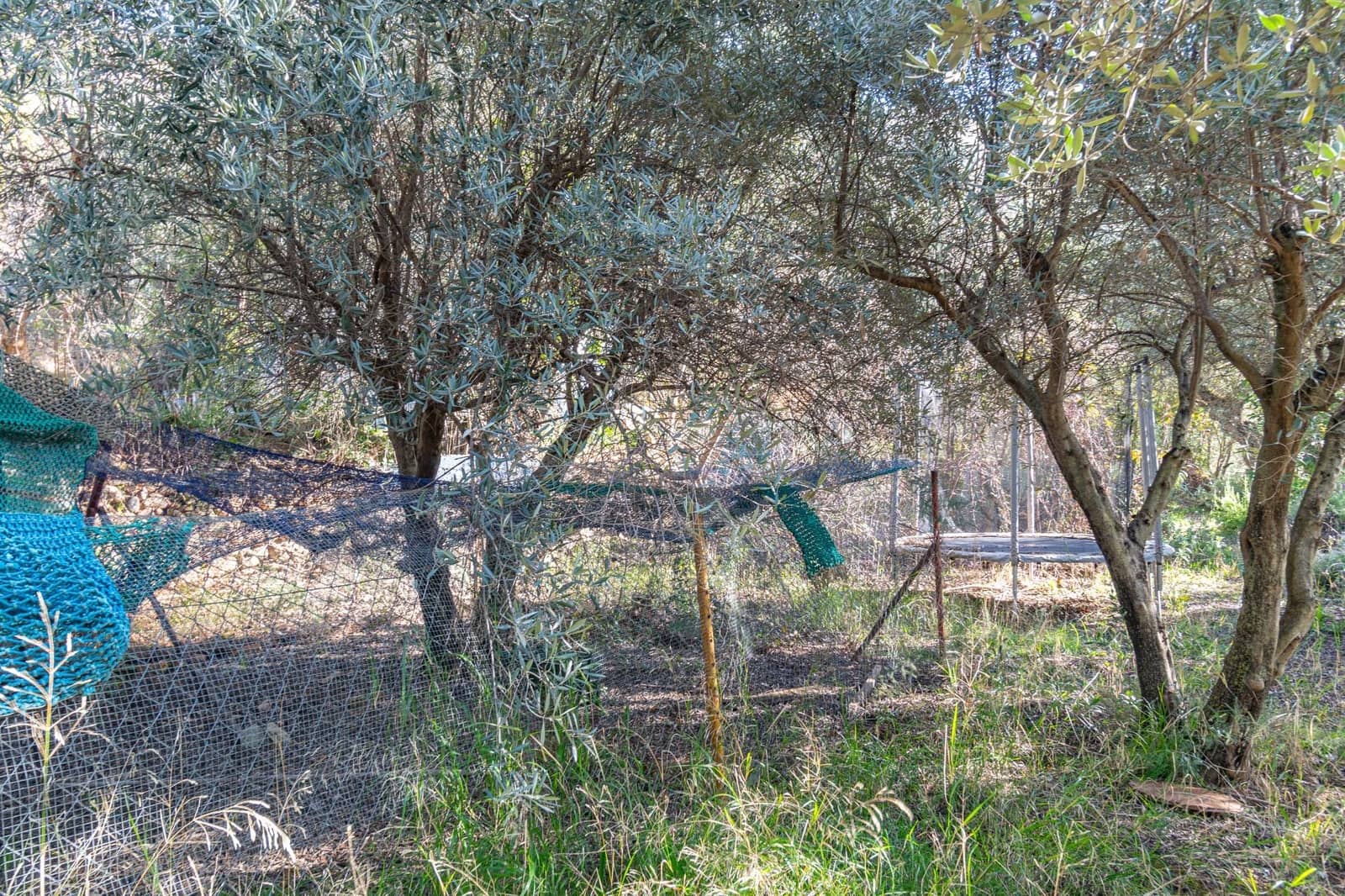 Ubebygd land til salgs i Dilar - € 139 500 (Ref: 8976278)