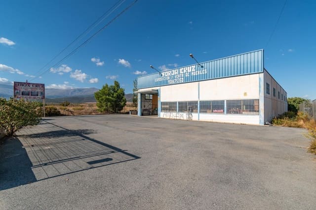 Virksomhed til salg i Albuñán - € 350.000 (Ref: 9326608)