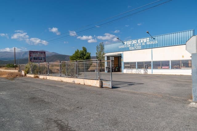 Virksomhed til salg i Albuñán - € 350.000 (Ref: 9326608)
