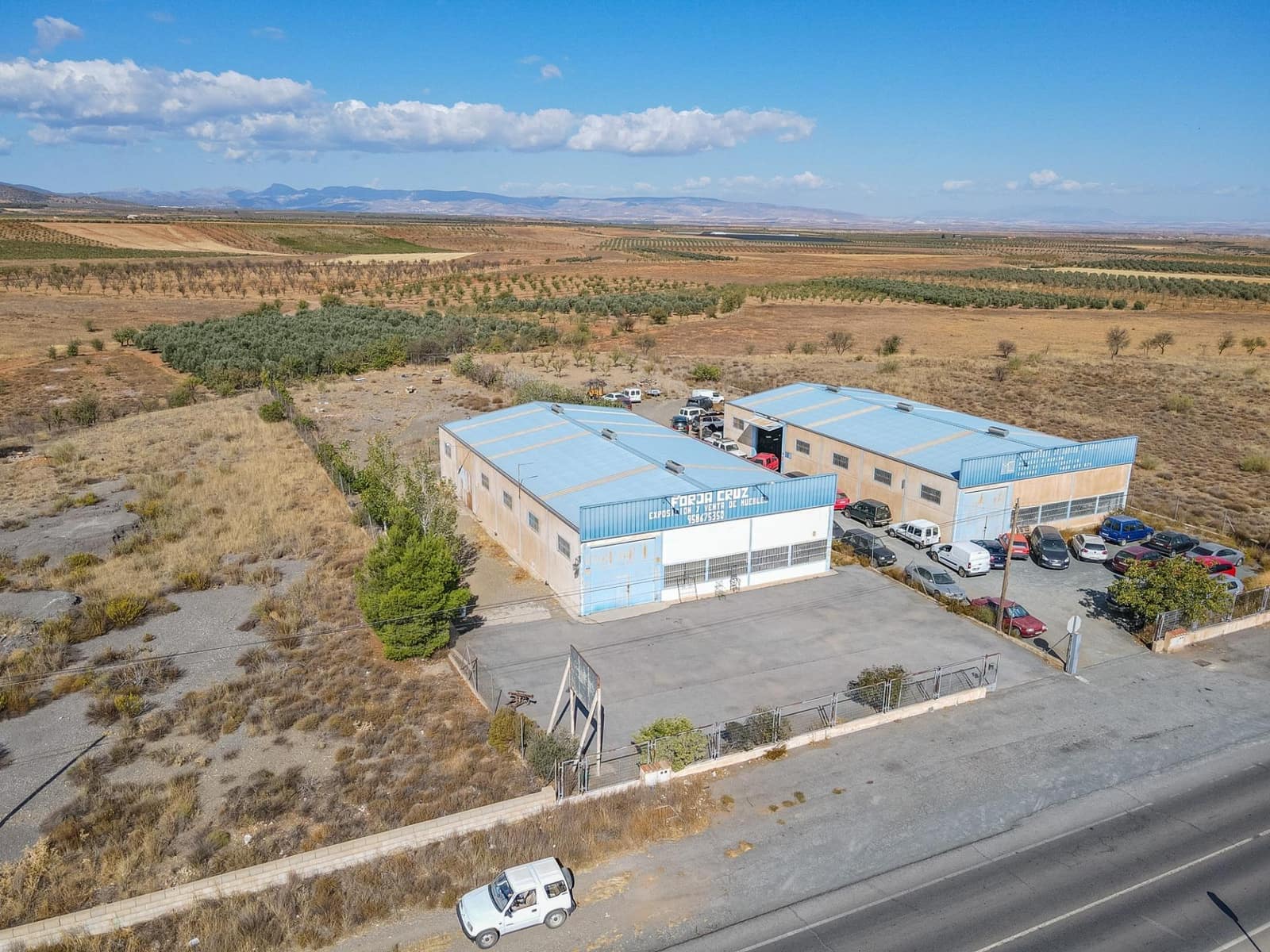 Bedrift til salgs i Albunan - € 350 000 (Ref: 9326608)