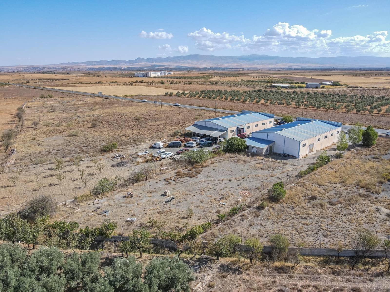 Bedrift til salgs i Albunan - € 350 000 (Ref: 9326608)