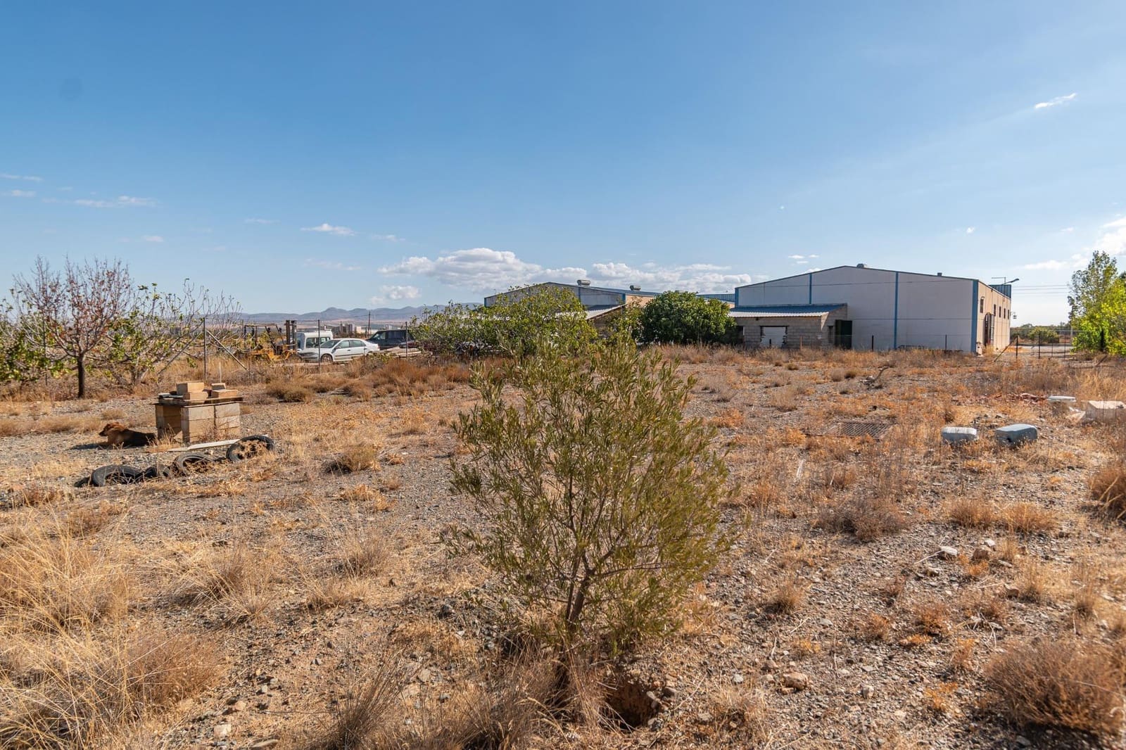 Bedrift til salgs i Albunan - € 350 000 (Ref: 9326608)