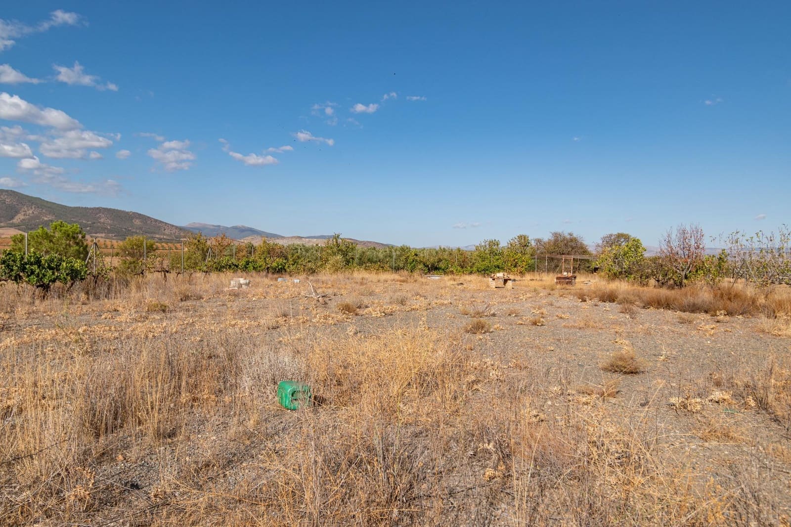 Bedrift til salgs i Albunan - € 350 000 (Ref: 9326608)