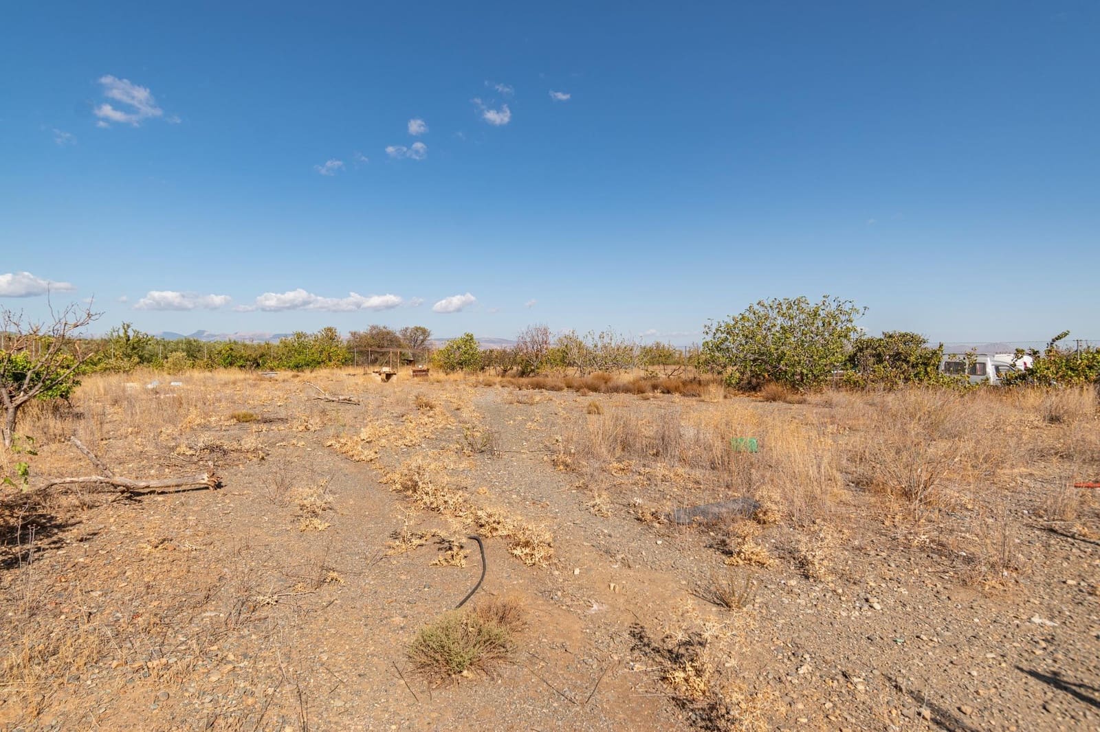 Bedrift til salgs i Albunan - € 350 000 (Ref: 9326608)