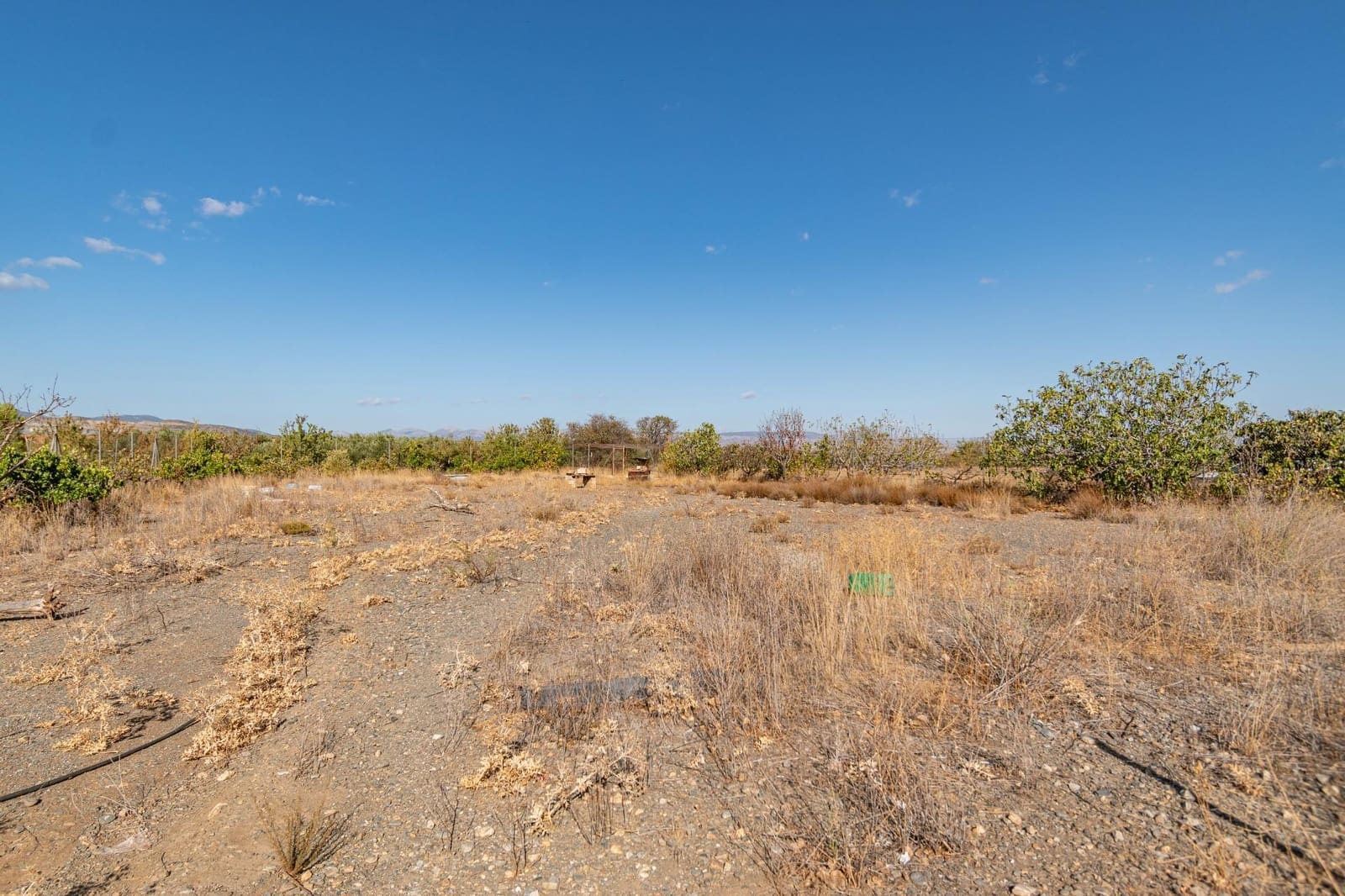 Bedrift til salgs i Albunan - € 350 000 (Ref: 9326608)