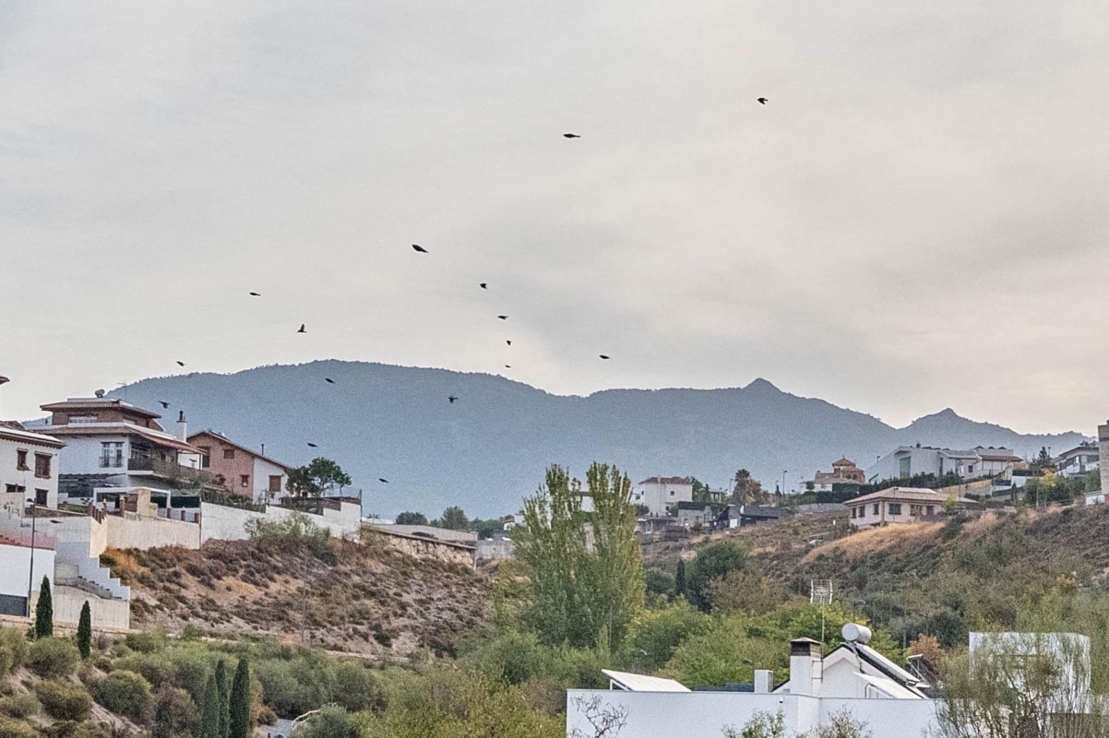 Byggetomt til salgs i La Zubia - € 82 900 (Ref: 9343254)