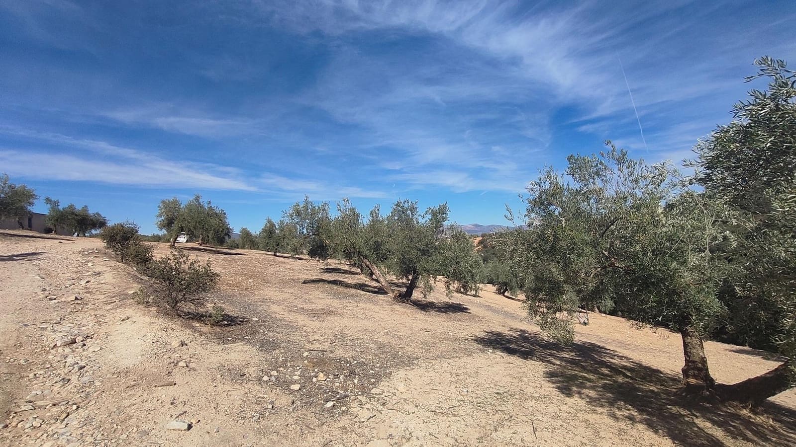 Grunde uden byggetilladelser til salg i Albolote - € 150.000 (Ref: 9344918)