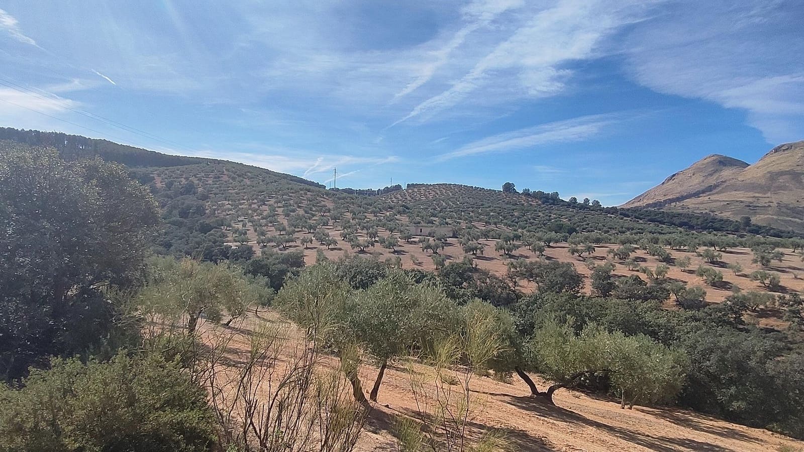 Grunde uden byggetilladelser til salg i Albolote - € 150.000 (Ref: 9344918)