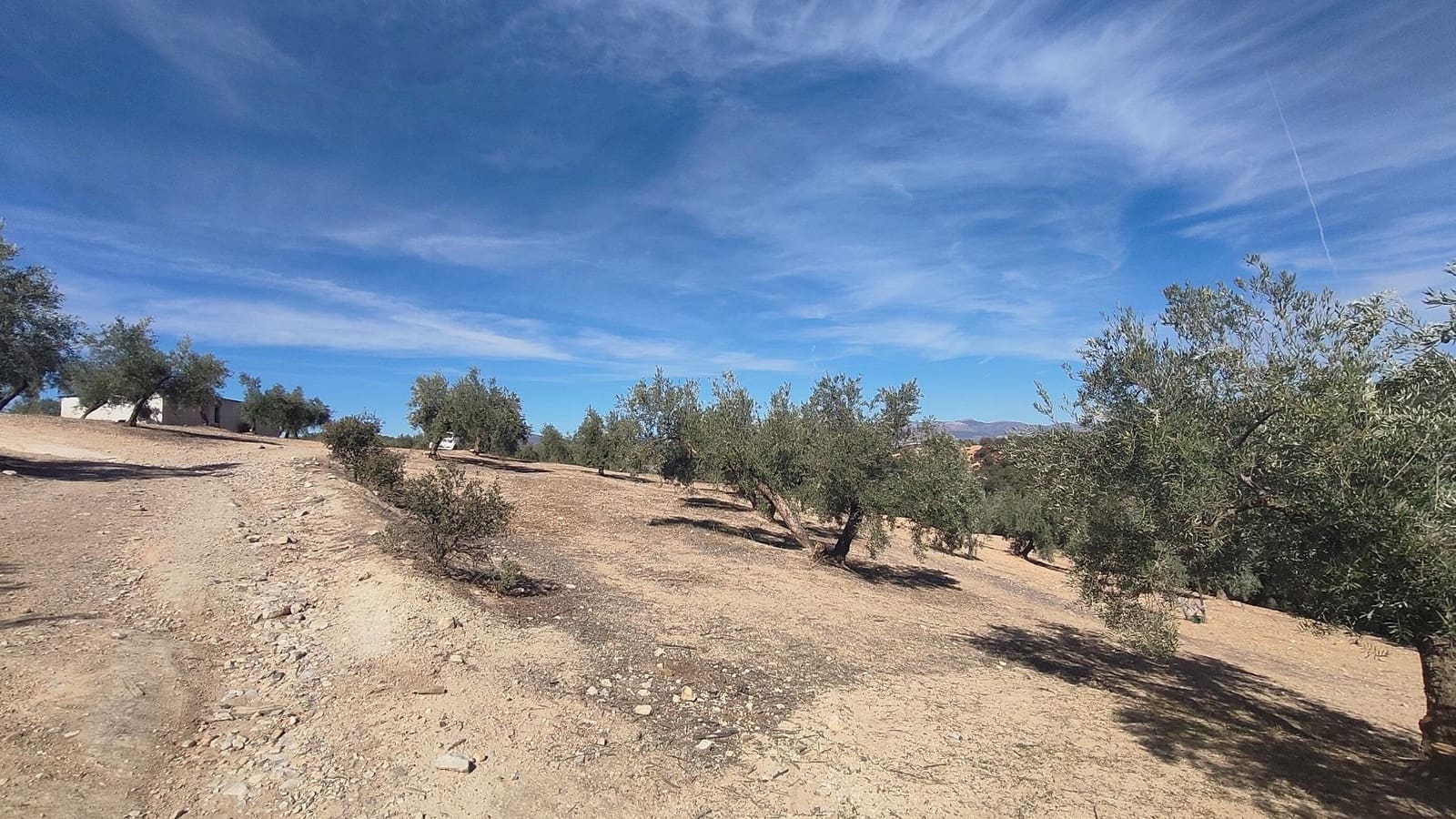 Grunde uden byggetilladelser til salg i Albolote - € 150.000 (Ref: 9344918)