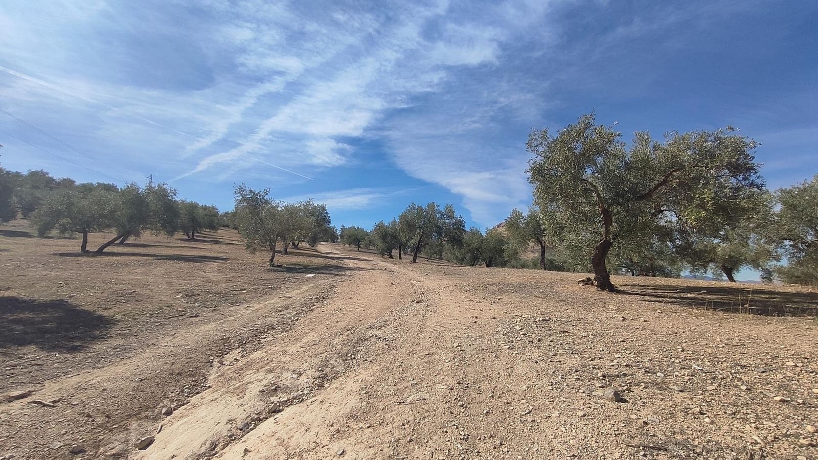 Grunde uden byggetilladelser til salg i Albolote - € 150.000 (Ref: 9344918)