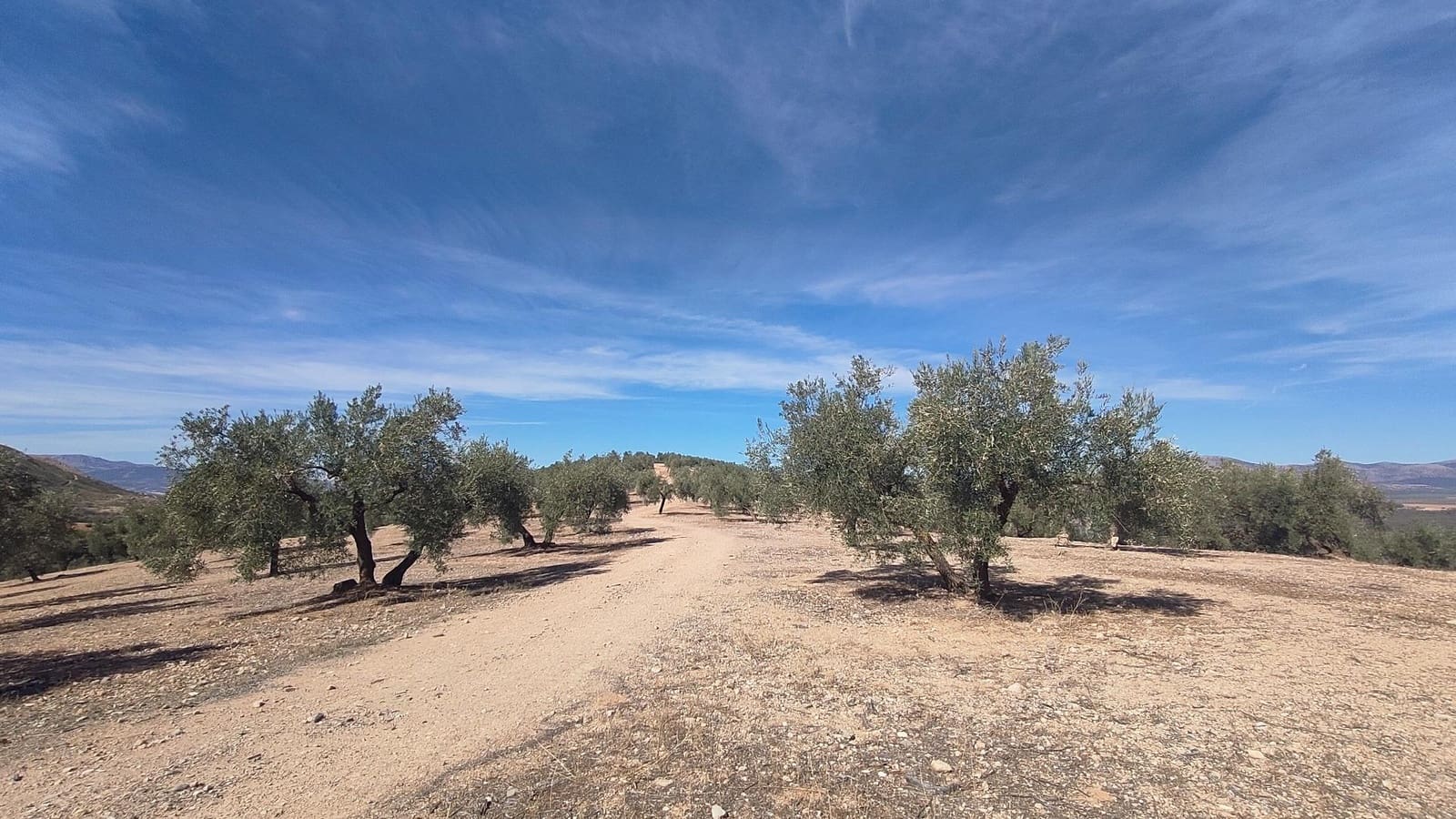 Grunde uden byggetilladelser til salg i Albolote - € 150.000 (Ref: 9344918)