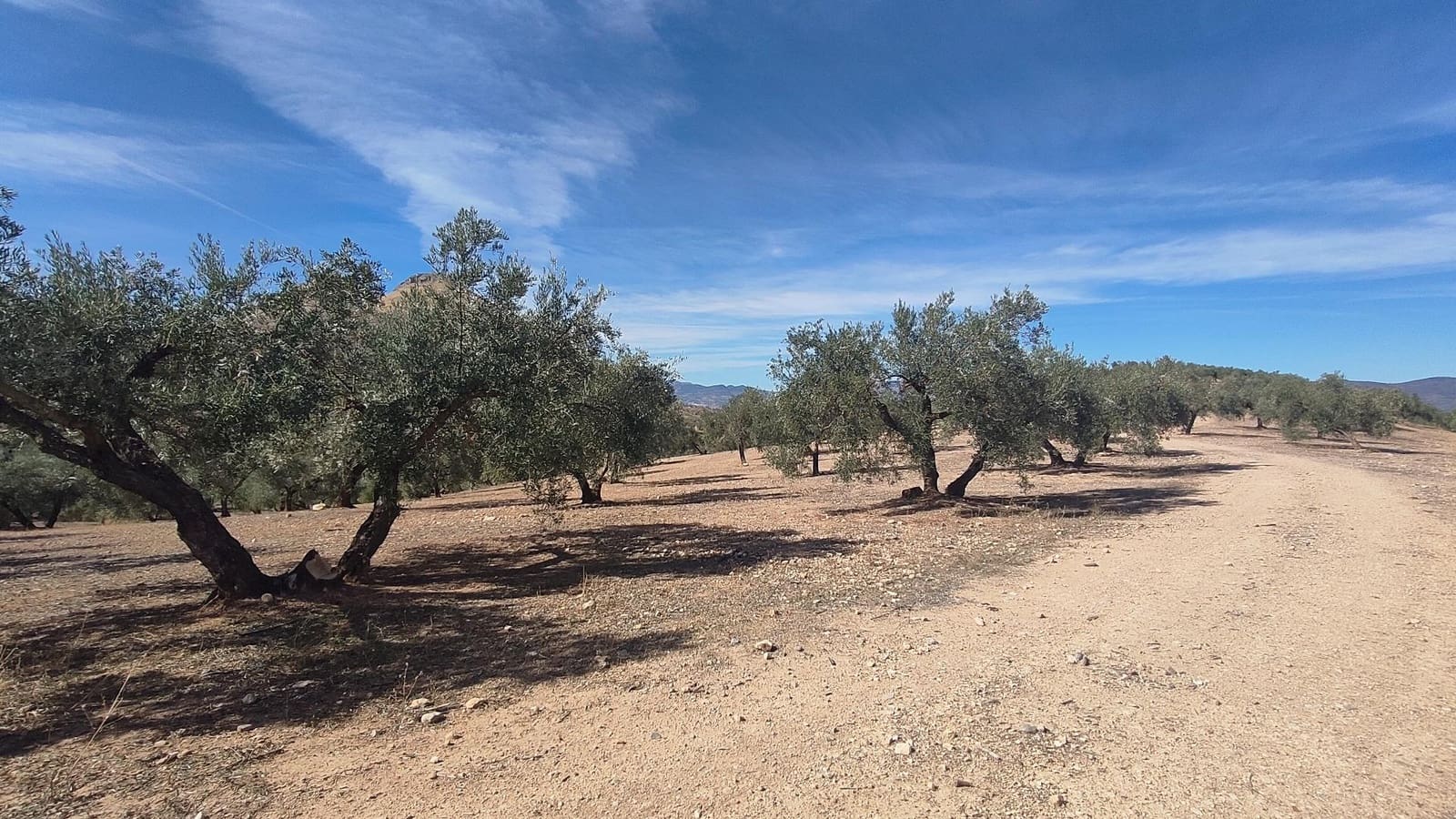 Grunde uden byggetilladelser til salg i Albolote - € 150.000 (Ref: 9344918)