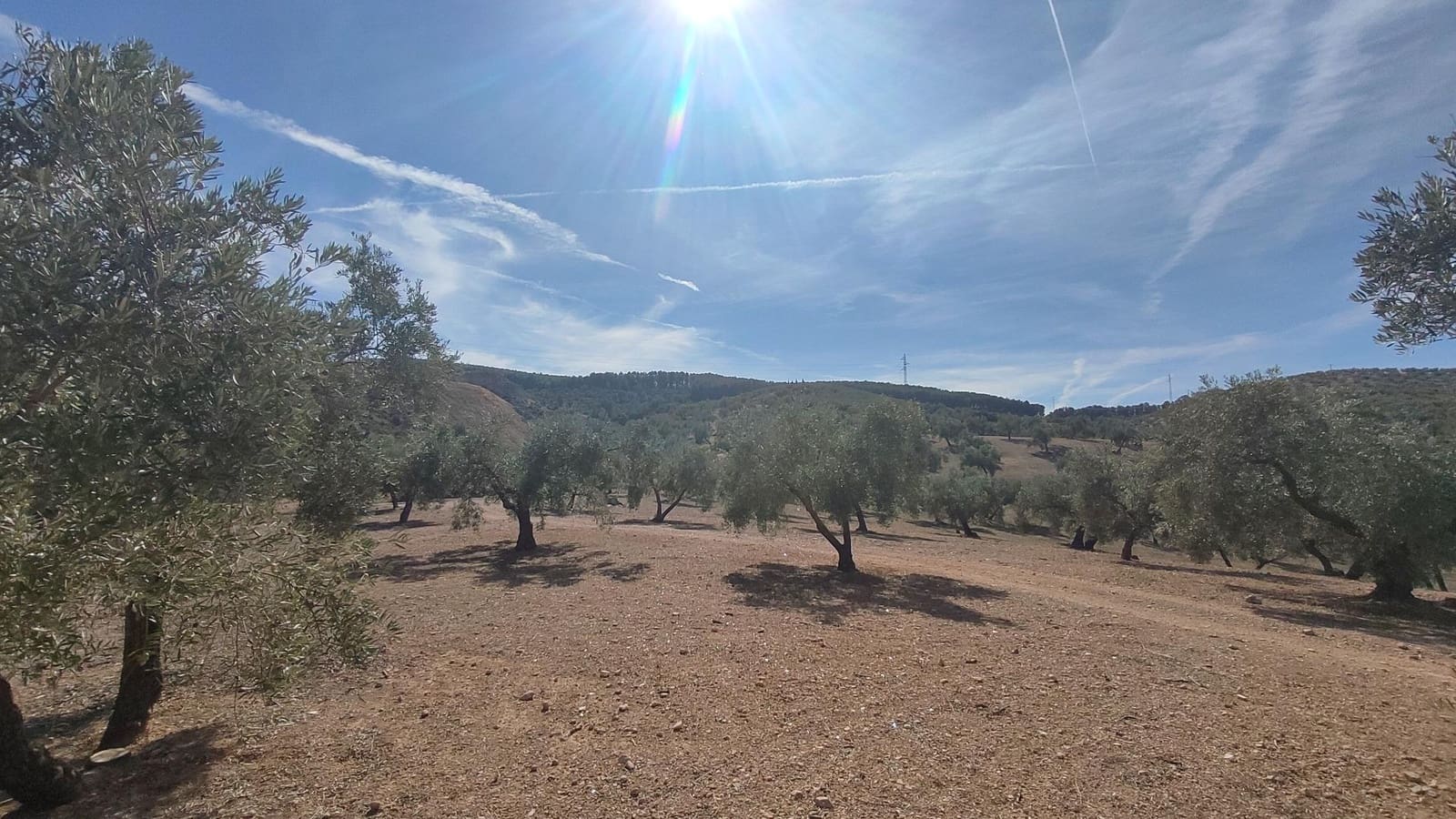 Grunde uden byggetilladelser til salg i Albolote - € 150.000 (Ref: 9344918)