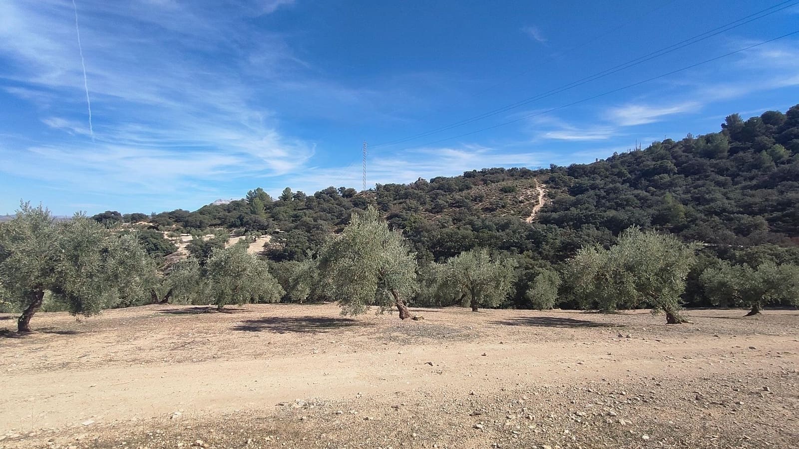 Grunde uden byggetilladelser til salg i Albolote - € 150.000 (Ref: 9344918)