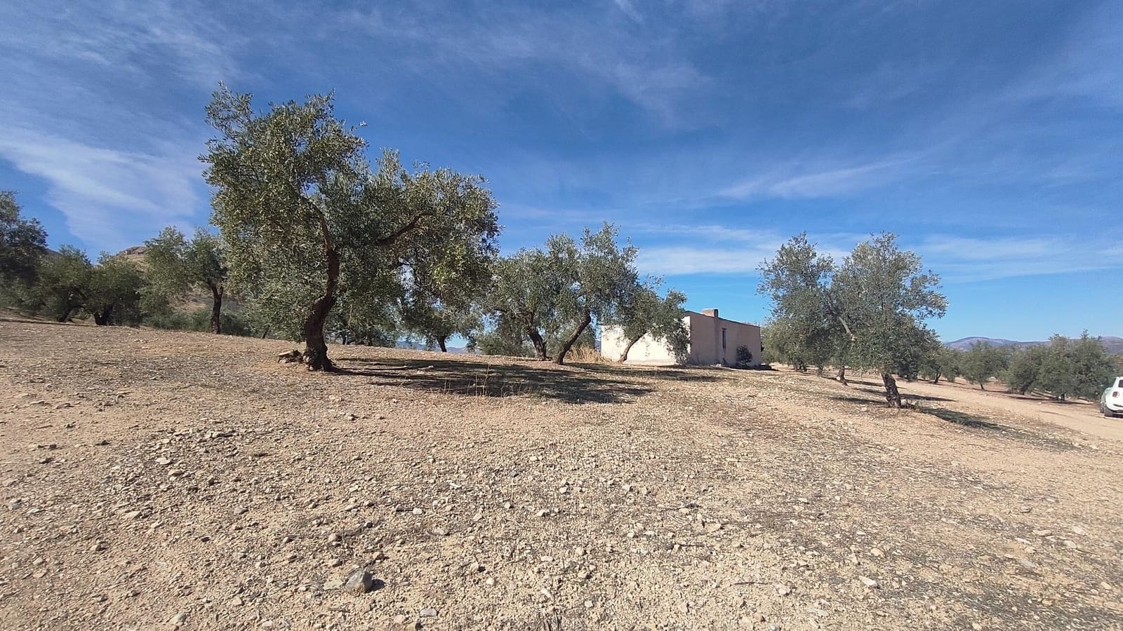 Grunde uden byggetilladelser til salg i Albolote - € 150.000 (Ref: 9344918)