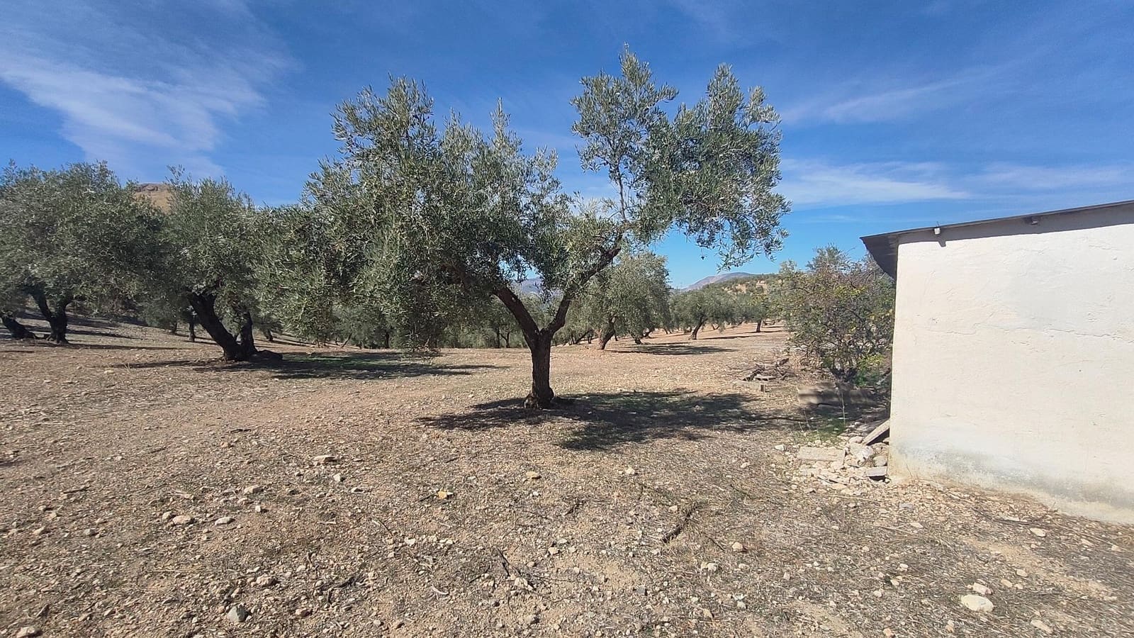 Grunde uden byggetilladelser til salg i Albolote - € 150.000 (Ref: 9344918)