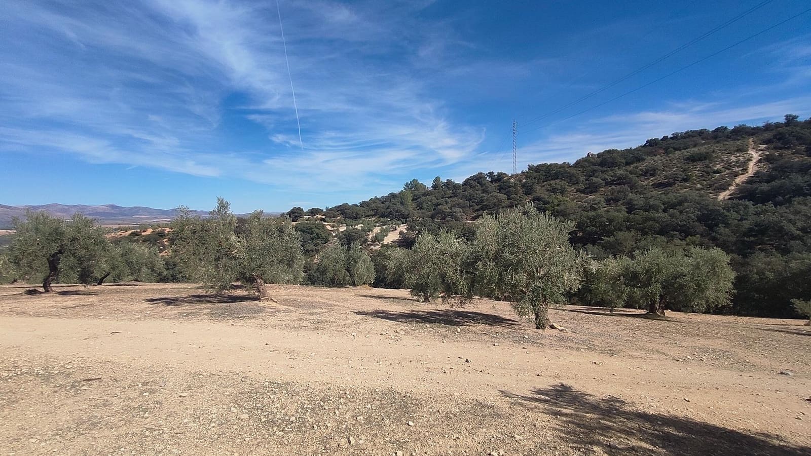 Grunde uden byggetilladelser til salg i Albolote - € 150.000 (Ref: 9344918)