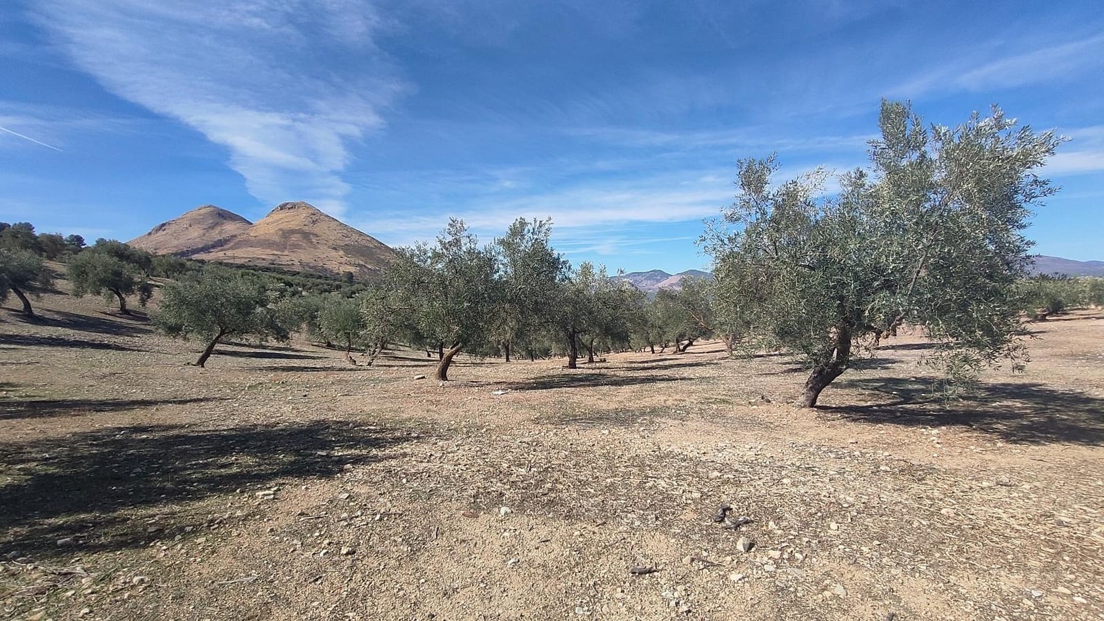 Grunde uden byggetilladelser til salg i Albolote - € 150.000 (Ref: 9344918)