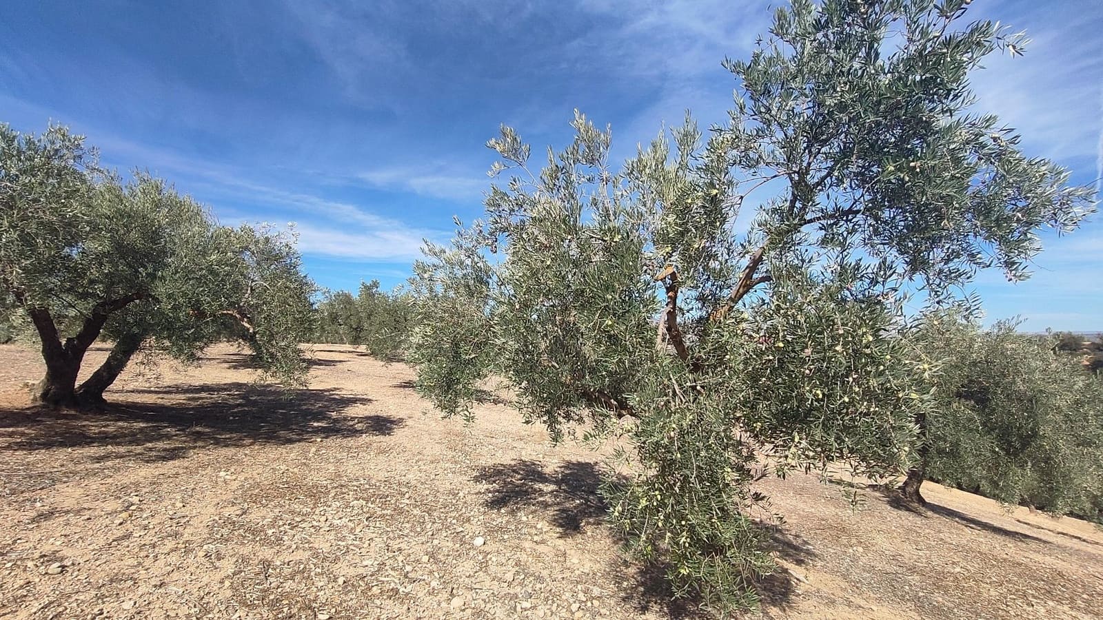 Grunde uden byggetilladelser til salg i Albolote - € 150.000 (Ref: 9344918)