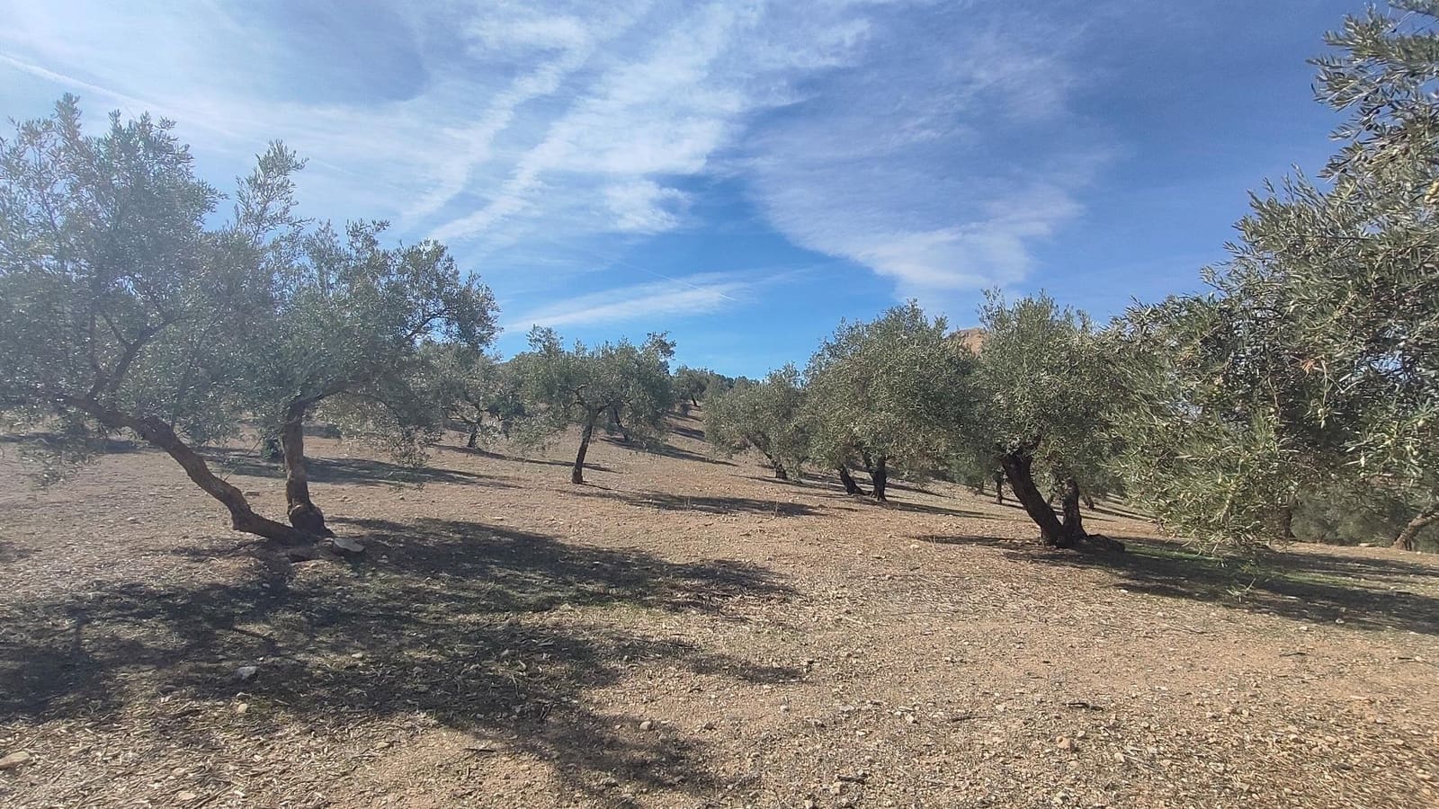 Grunde uden byggetilladelser til salg i Albolote - € 150.000 (Ref: 9344918)