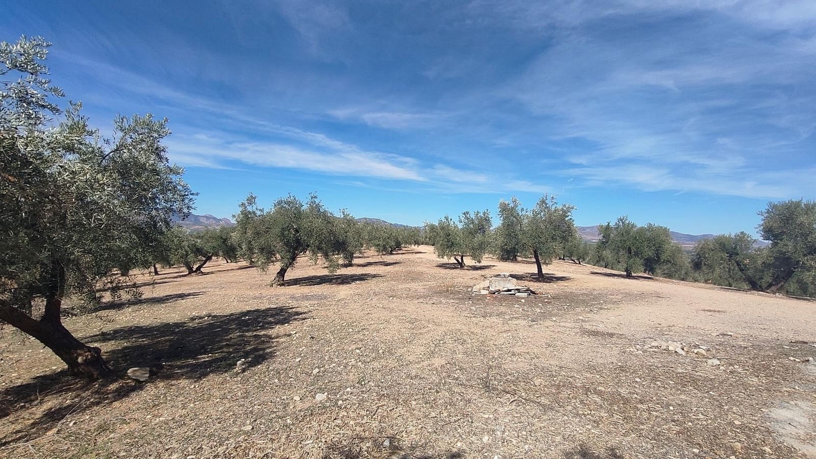 Grunde uden byggetilladelser til salg i Albolote - € 150.000 (Ref: 9344918)