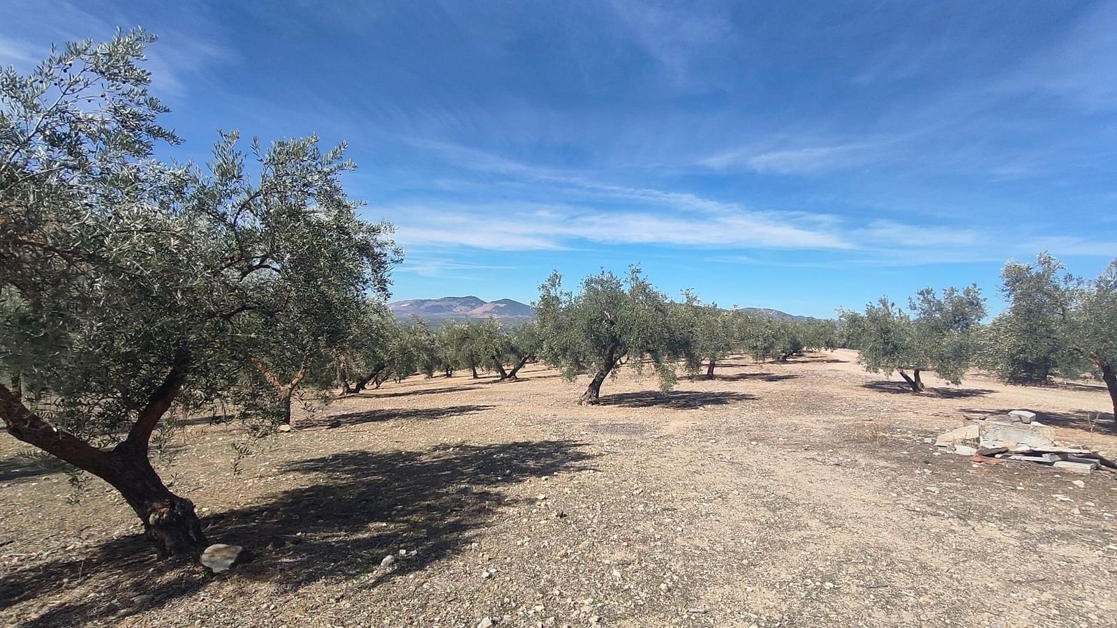 Grunde uden byggetilladelser til salg i Albolote - € 150.000 (Ref: 9344918)