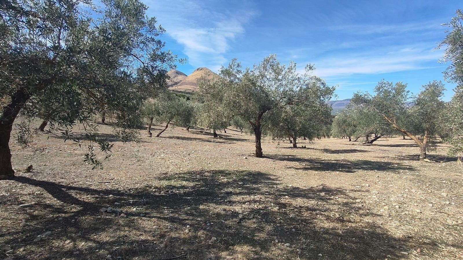 Grunde uden byggetilladelser til salg i Albolote - € 150.000 (Ref: 9344918)