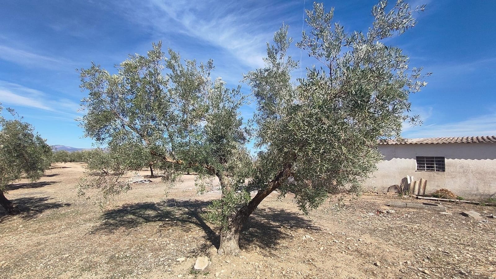 Grunde uden byggetilladelser til salg i Albolote - € 150.000 (Ref: 9344918)