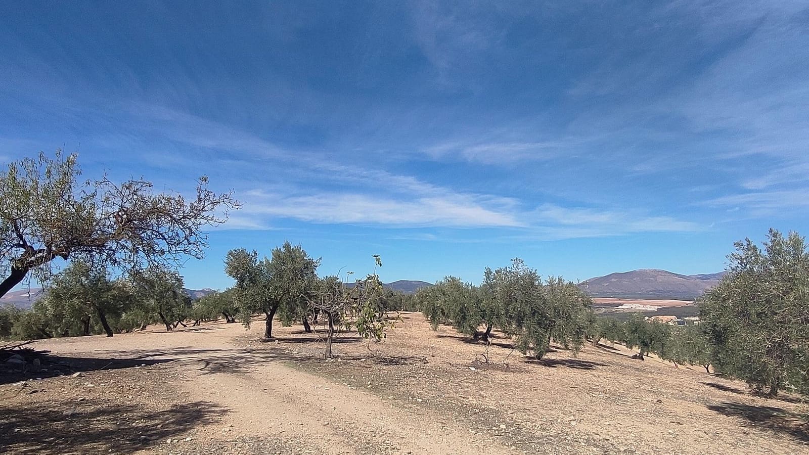 Grunde uden byggetilladelser til salg i Albolote - € 150.000 (Ref: 9344918)