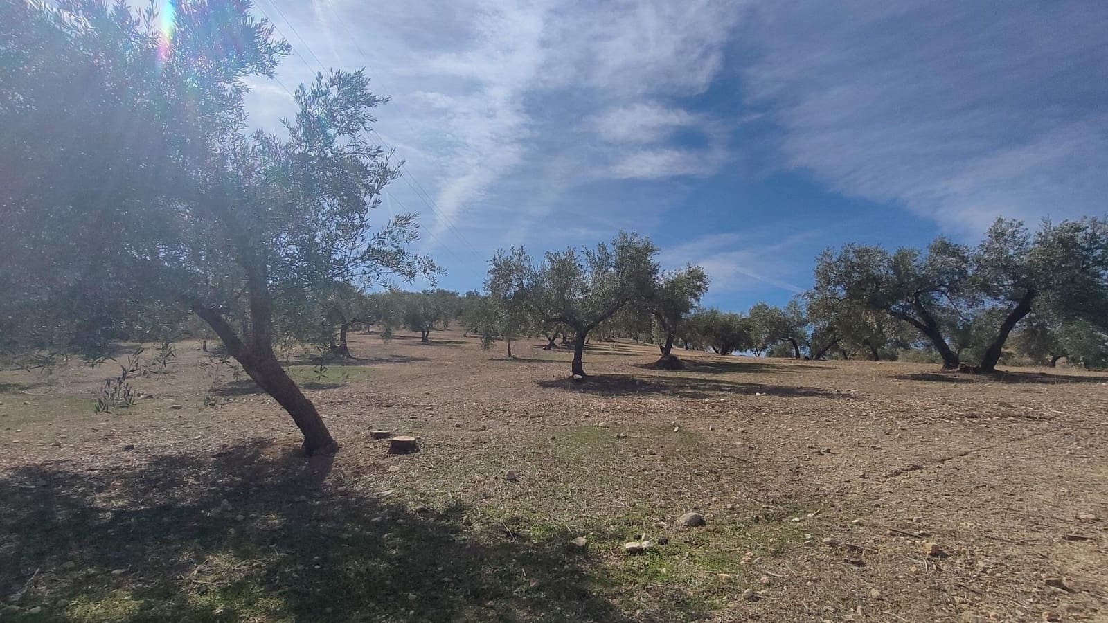 Grunde uden byggetilladelser til salg i Albolote - € 150.000 (Ref: 9344918)