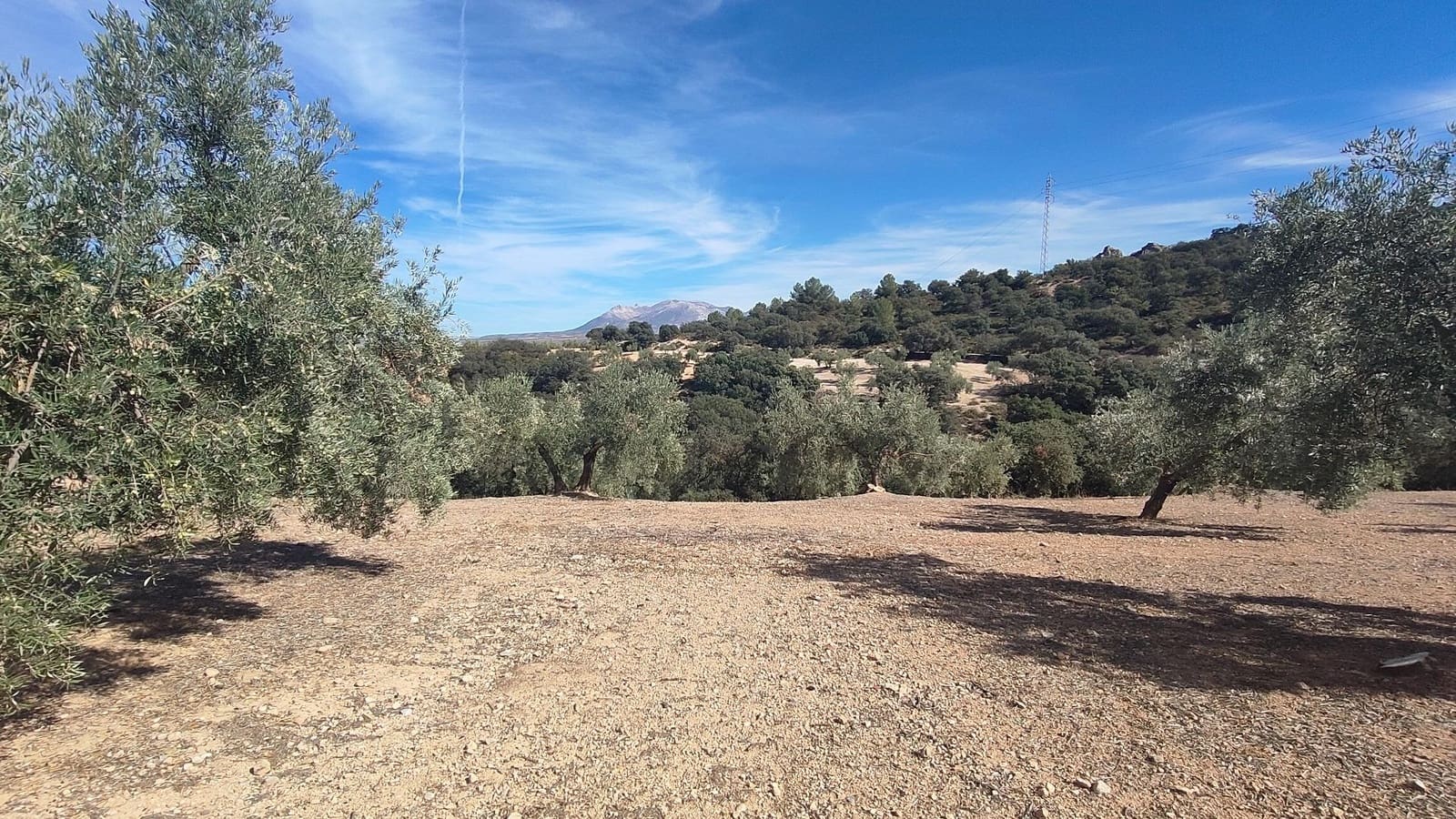 Grunde uden byggetilladelser til salg i Albolote - € 150.000 (Ref: 9344918)