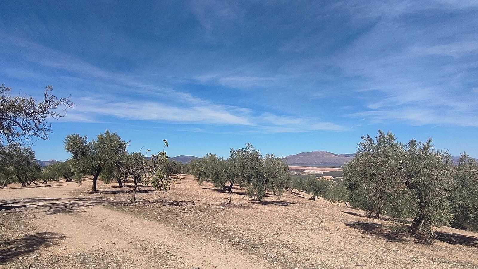 Grunde uden byggetilladelser til salg i Albolote - € 150.000 (Ref: 9344918)