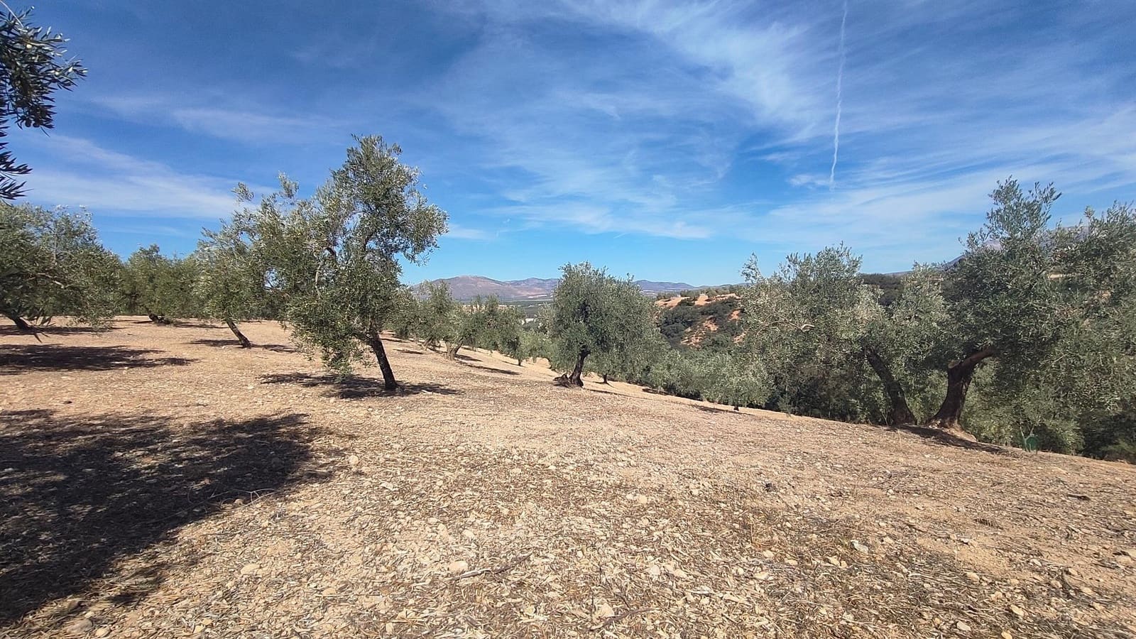 Grunde uden byggetilladelser til salg i Albolote - € 150.000 (Ref: 9344918)