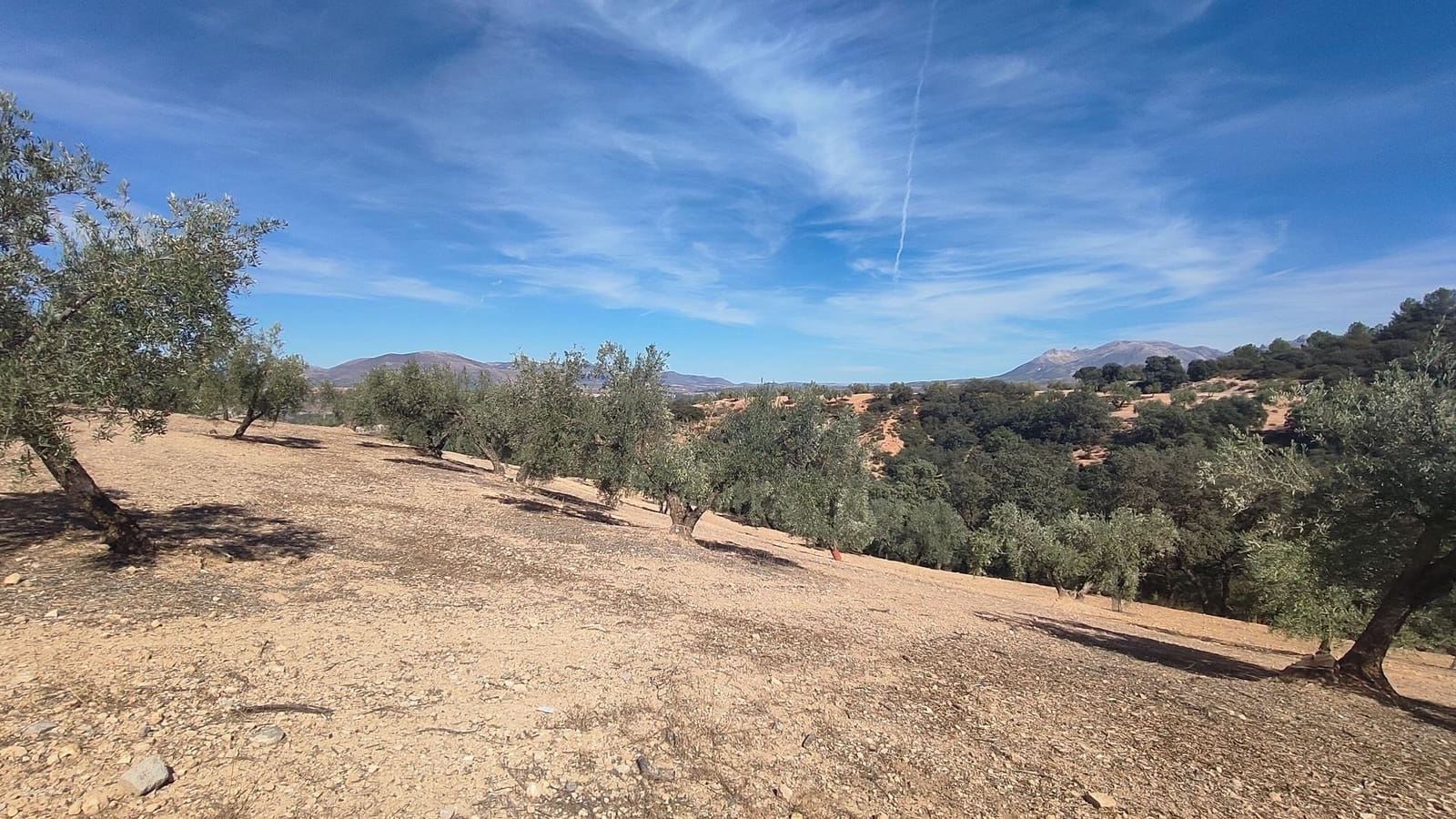 Grunde uden byggetilladelser til salg i Albolote - € 150.000 (Ref: 9344918)