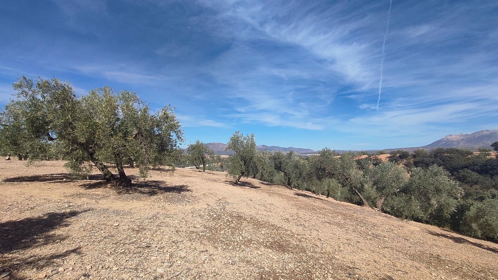 Grunde uden byggetilladelser til salg i Albolote - € 150.000 (Ref: 9344918)