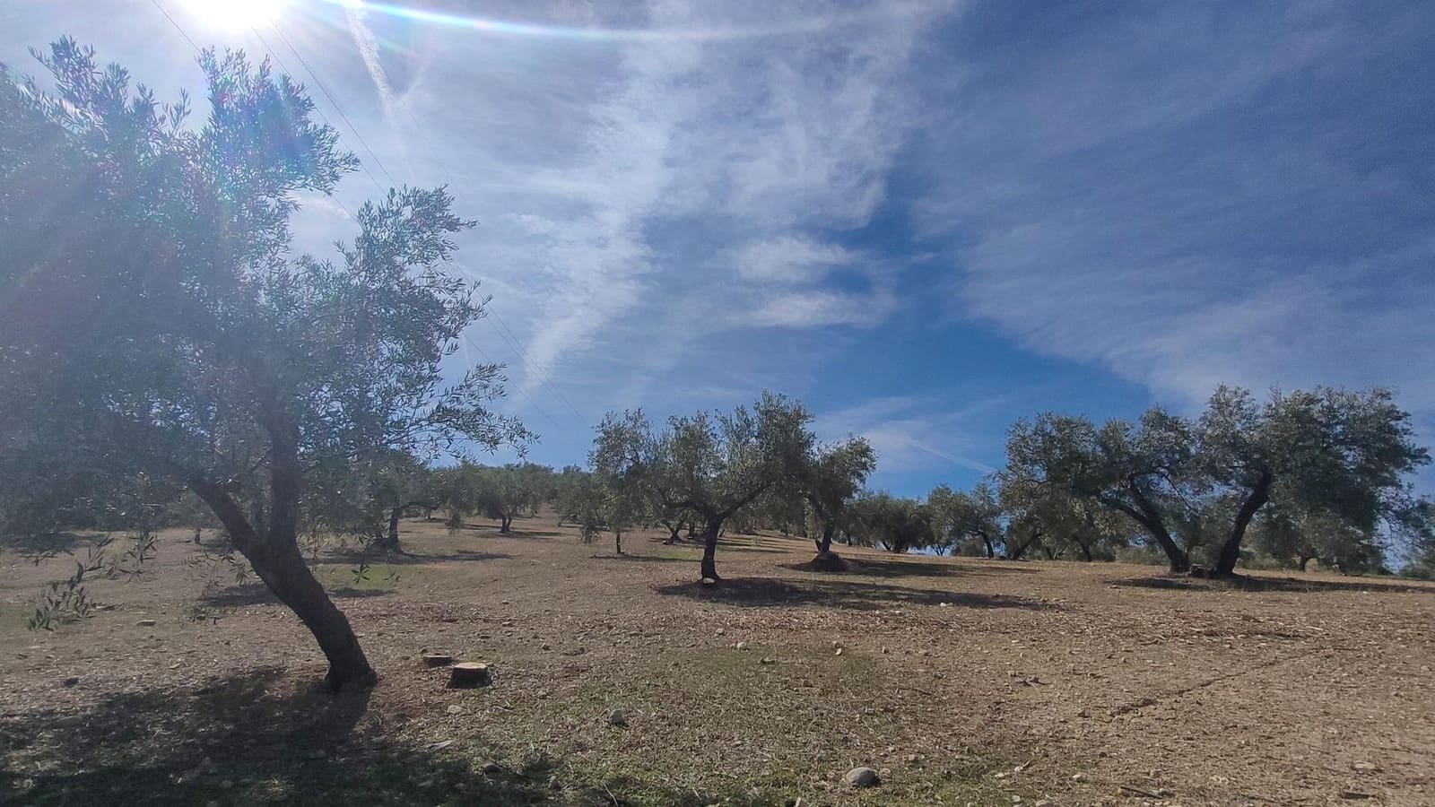 Grunde uden byggetilladelser til salg i Albolote - € 150.000 (Ref: 9344918)