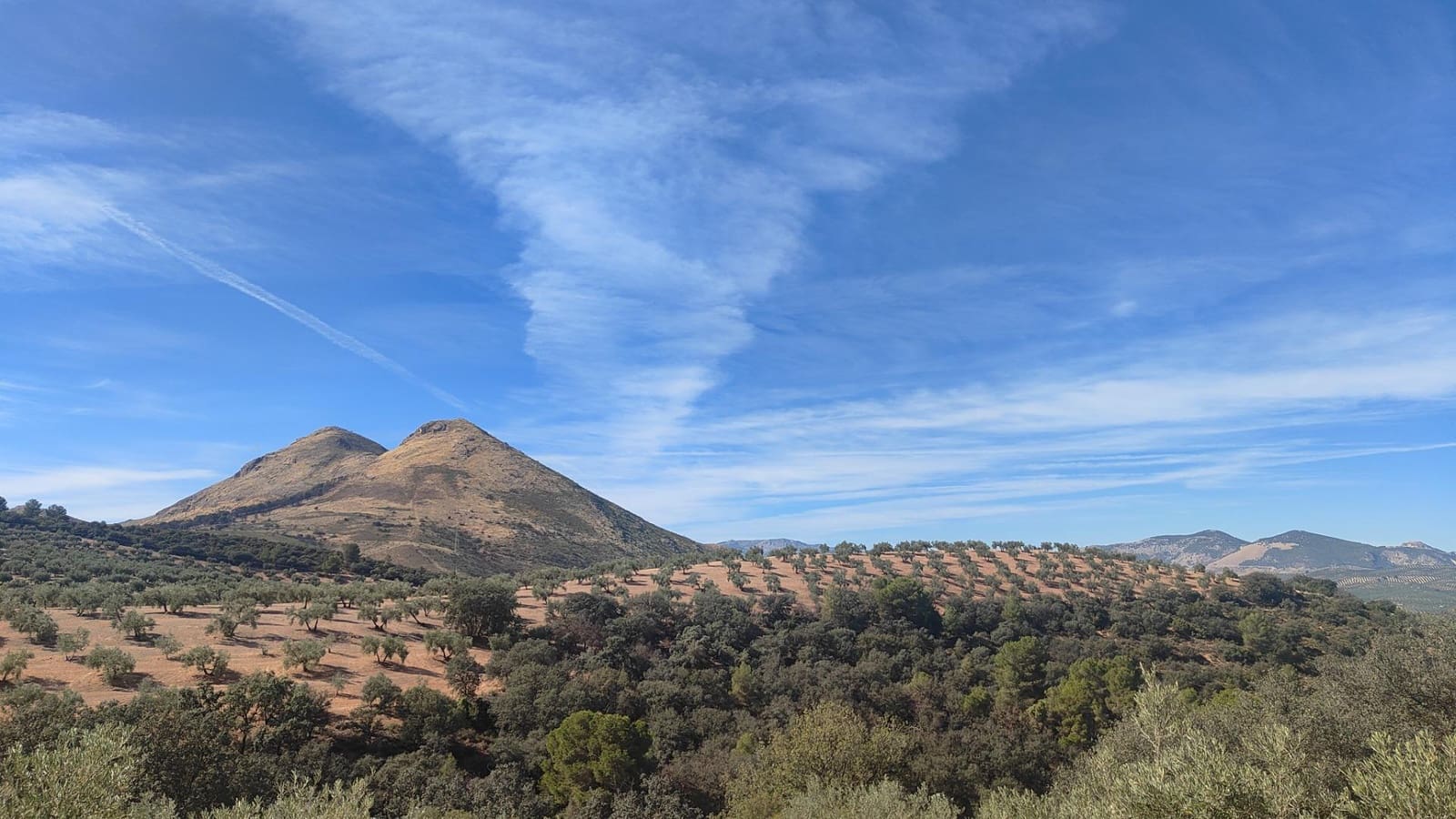 Grunde uden byggetilladelser til salg i Albolote - € 150.000 (Ref: 9344918)