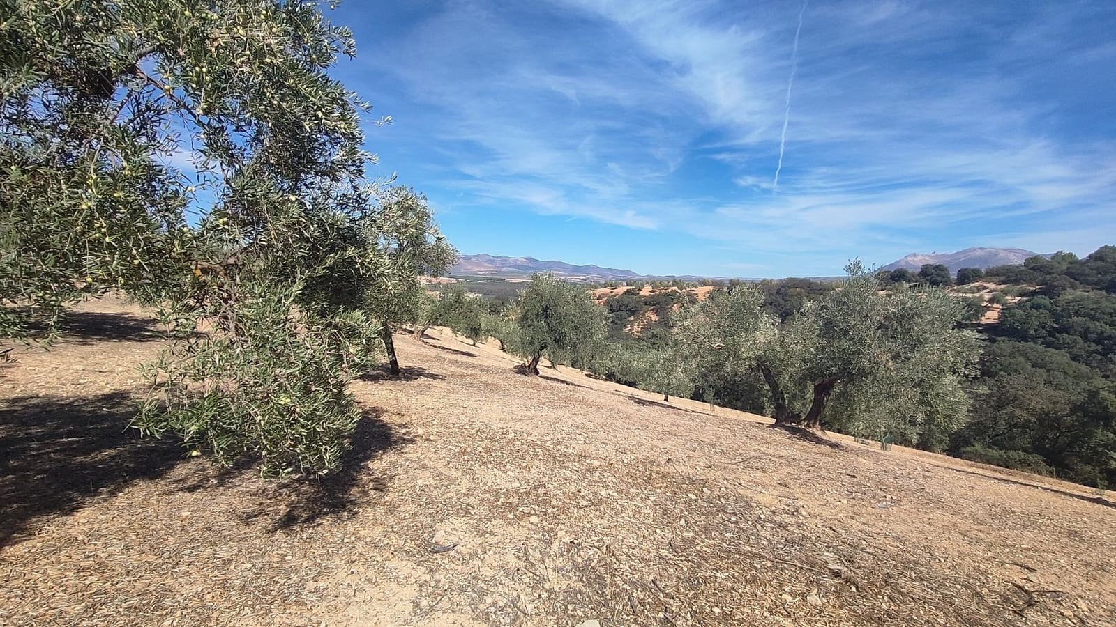 Grunde uden byggetilladelser til salg i Albolote - € 150.000 (Ref: 9344918)