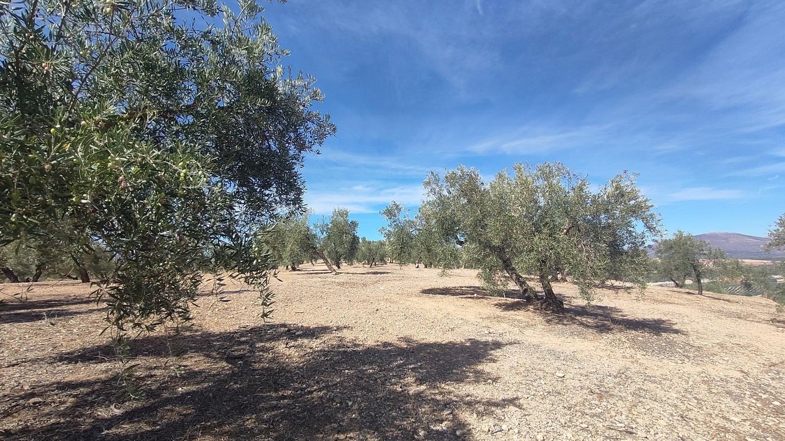 Grunde uden byggetilladelser til salg i Albolote - € 150.000 (Ref: 9344918)